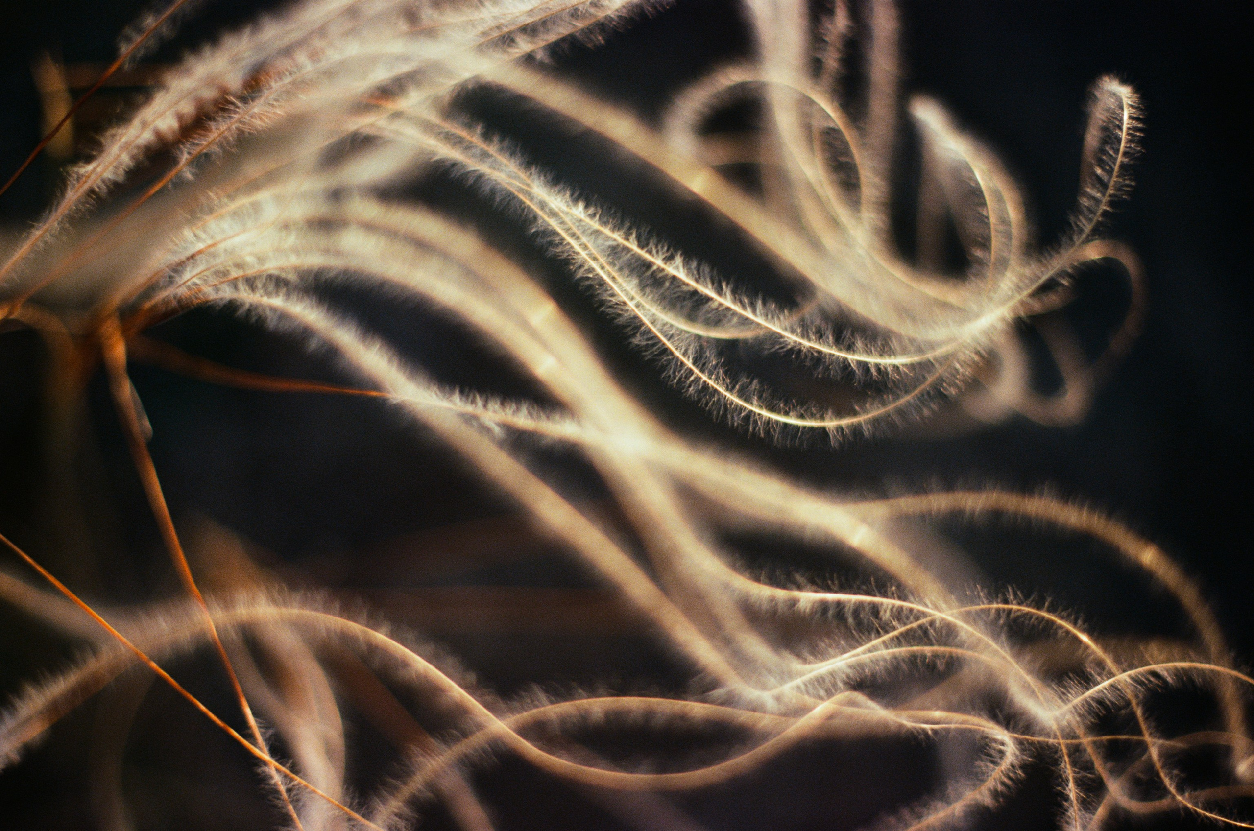 Point of no reply // ukraine, crimea X. EVER EXPOSED