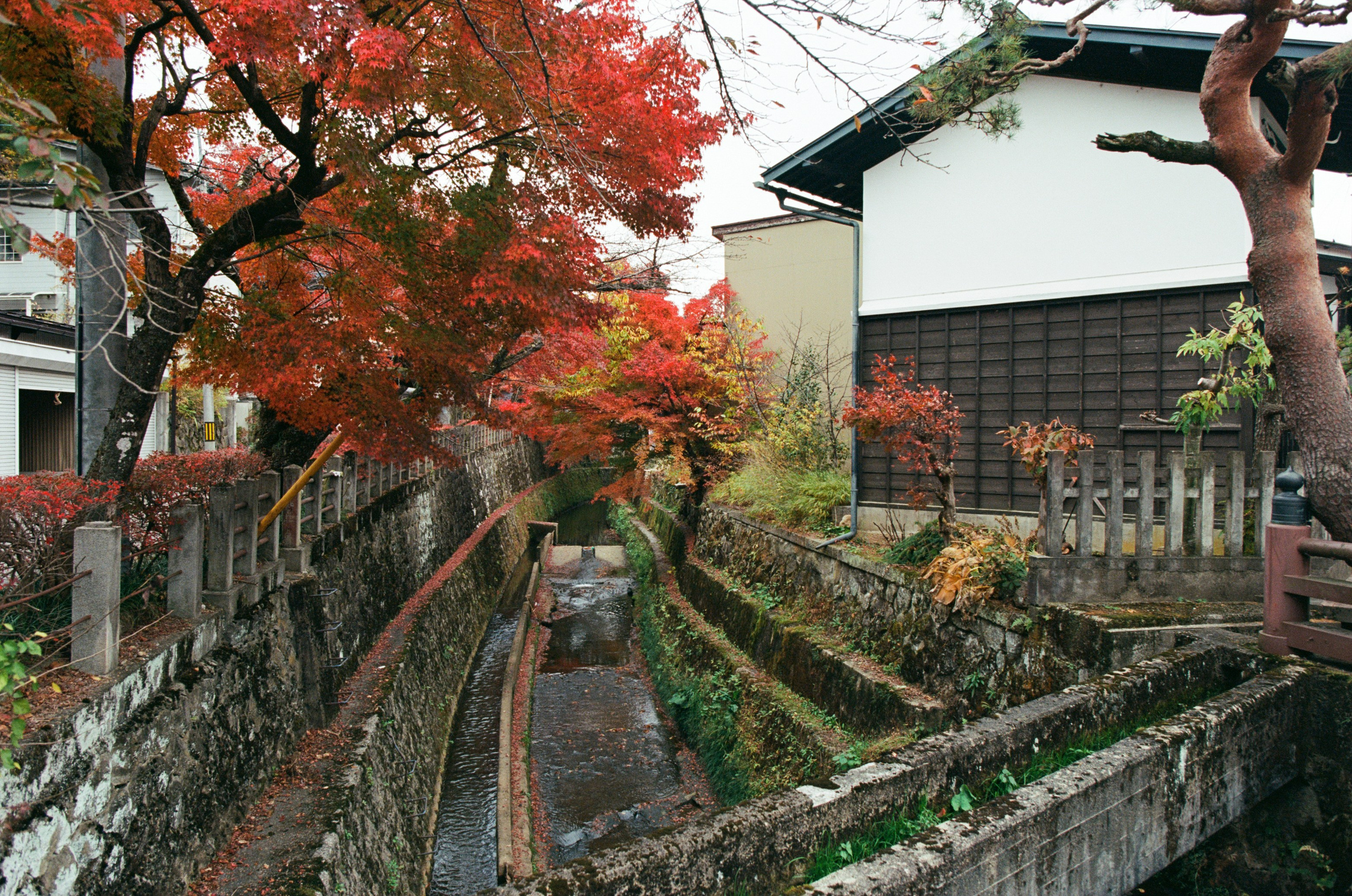 Out of noise // japan, takayama. EVER EXPOSED