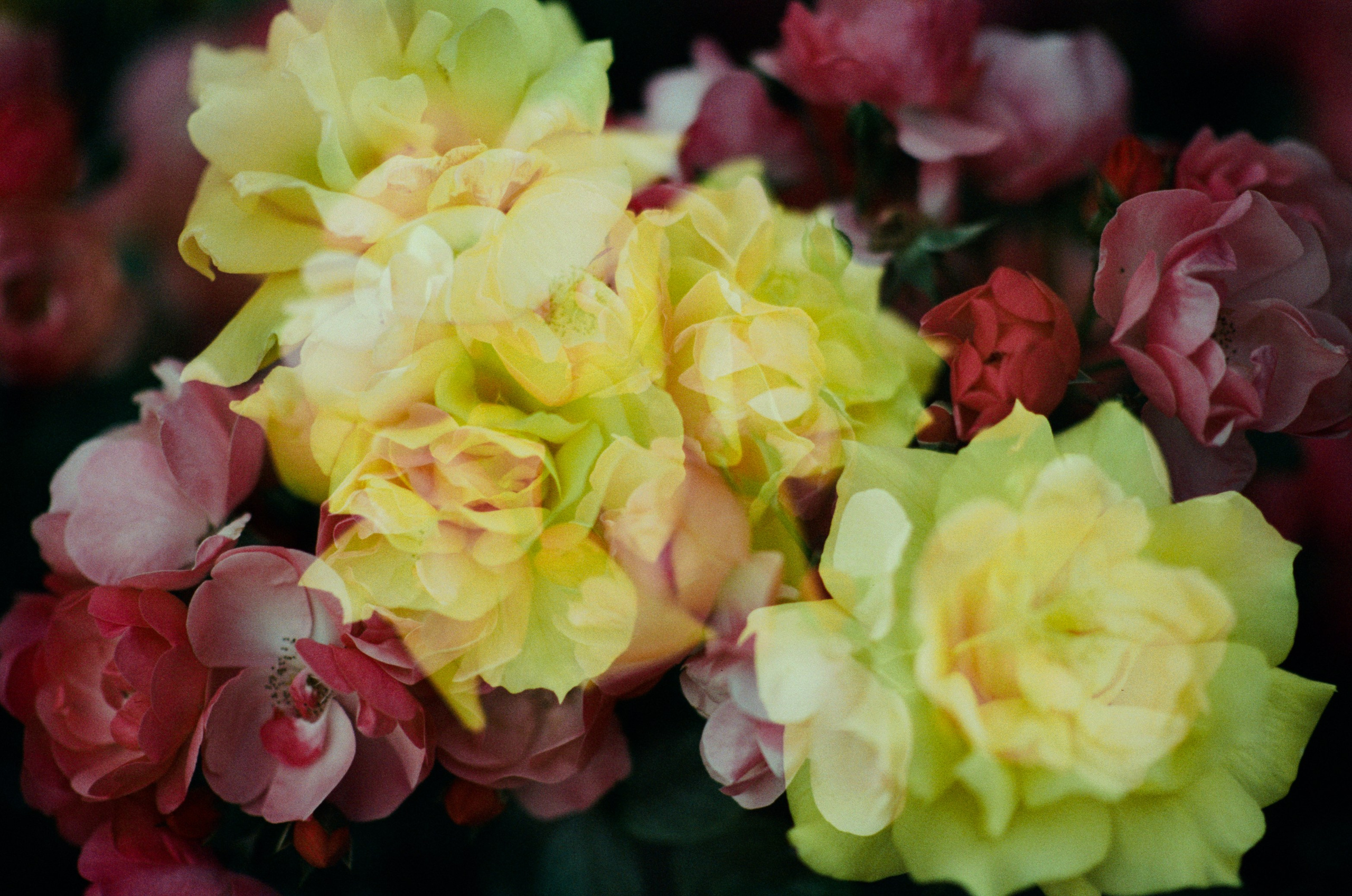 Pain shopping // ukraine, crimea V. EVER EXPOSED