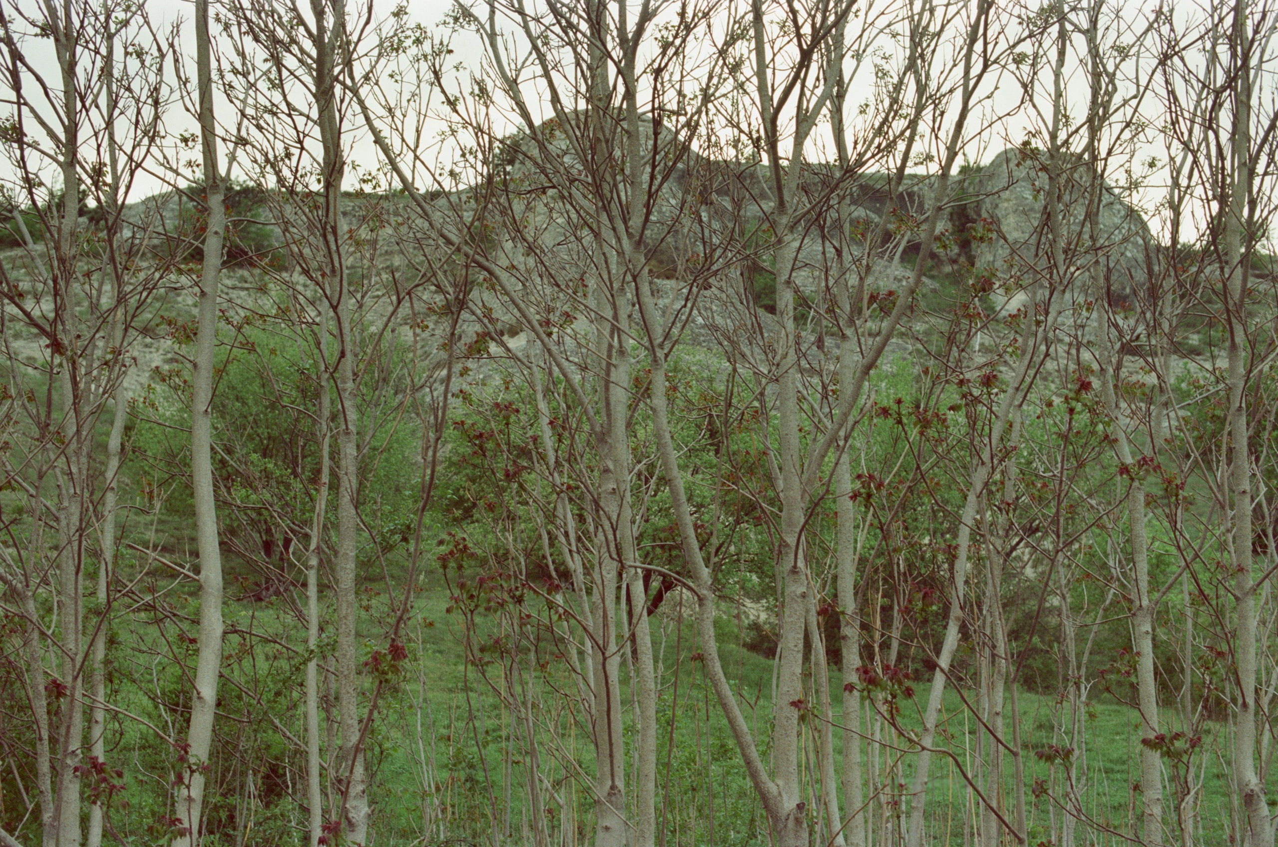 Follow you // ukraine, crimea III. EVER EXPOSED