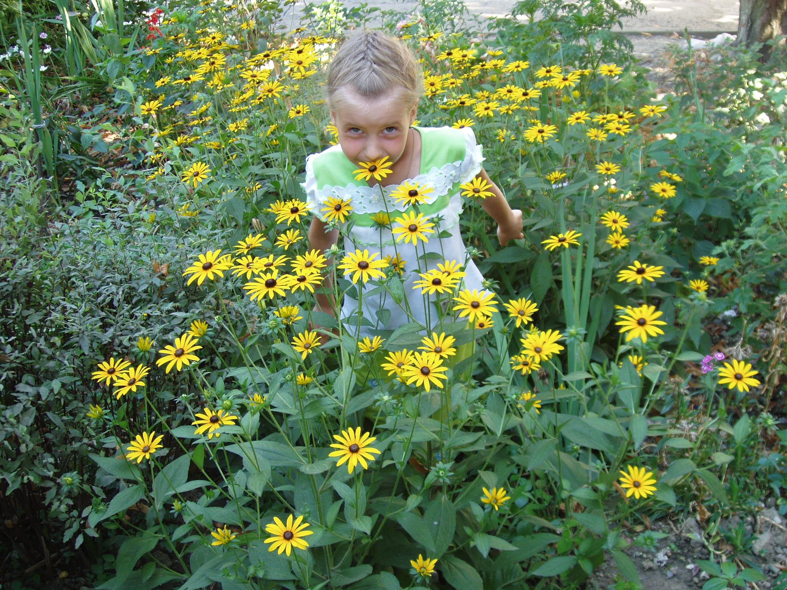 Отпуск 13.07-24.08. Семейный, Свадебный фотограф СПБ Питер— Романова Екатерина