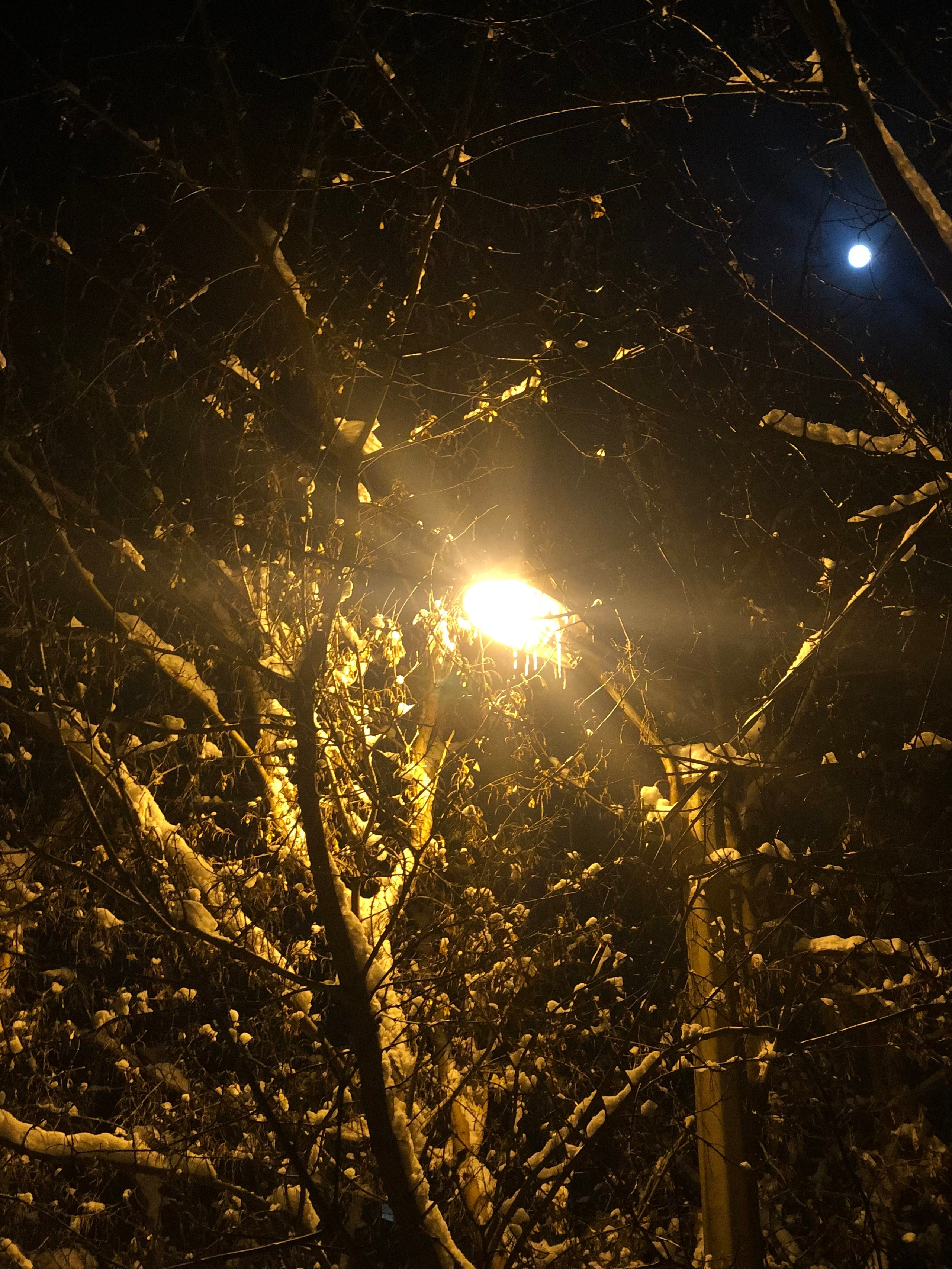 Ноябрь. Семейный, Свадебный фотограф СПБ Питер— Романова Екатерина