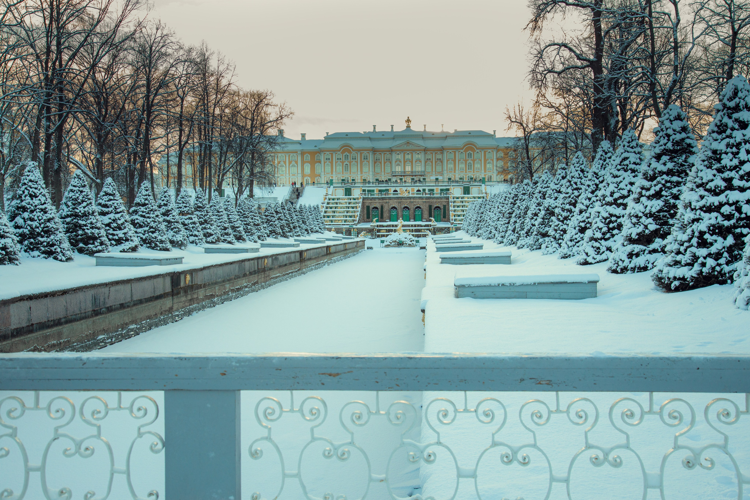 Петергоф нижний парк фото