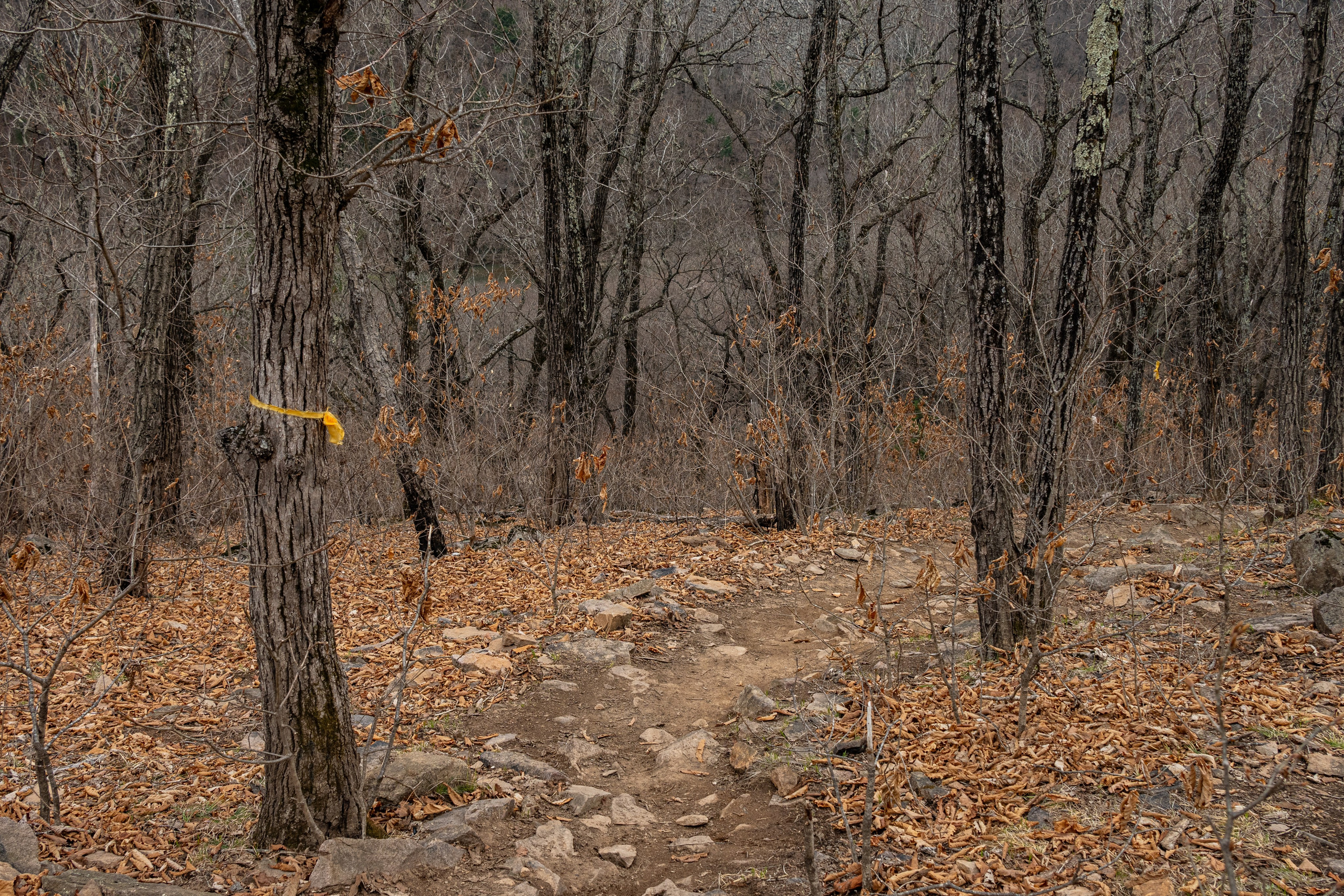 Ущелье Дарданеллы. Репортажный и портретный фотограф во Владивостоке Денис Седов