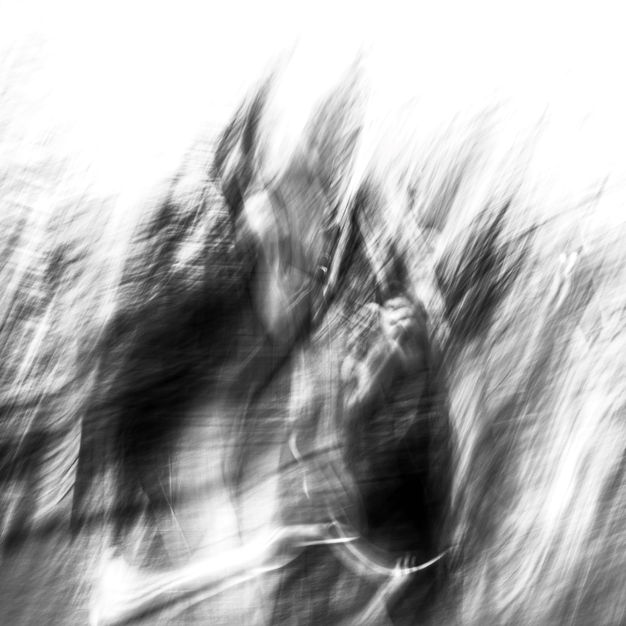 Primavera. Metagraphy