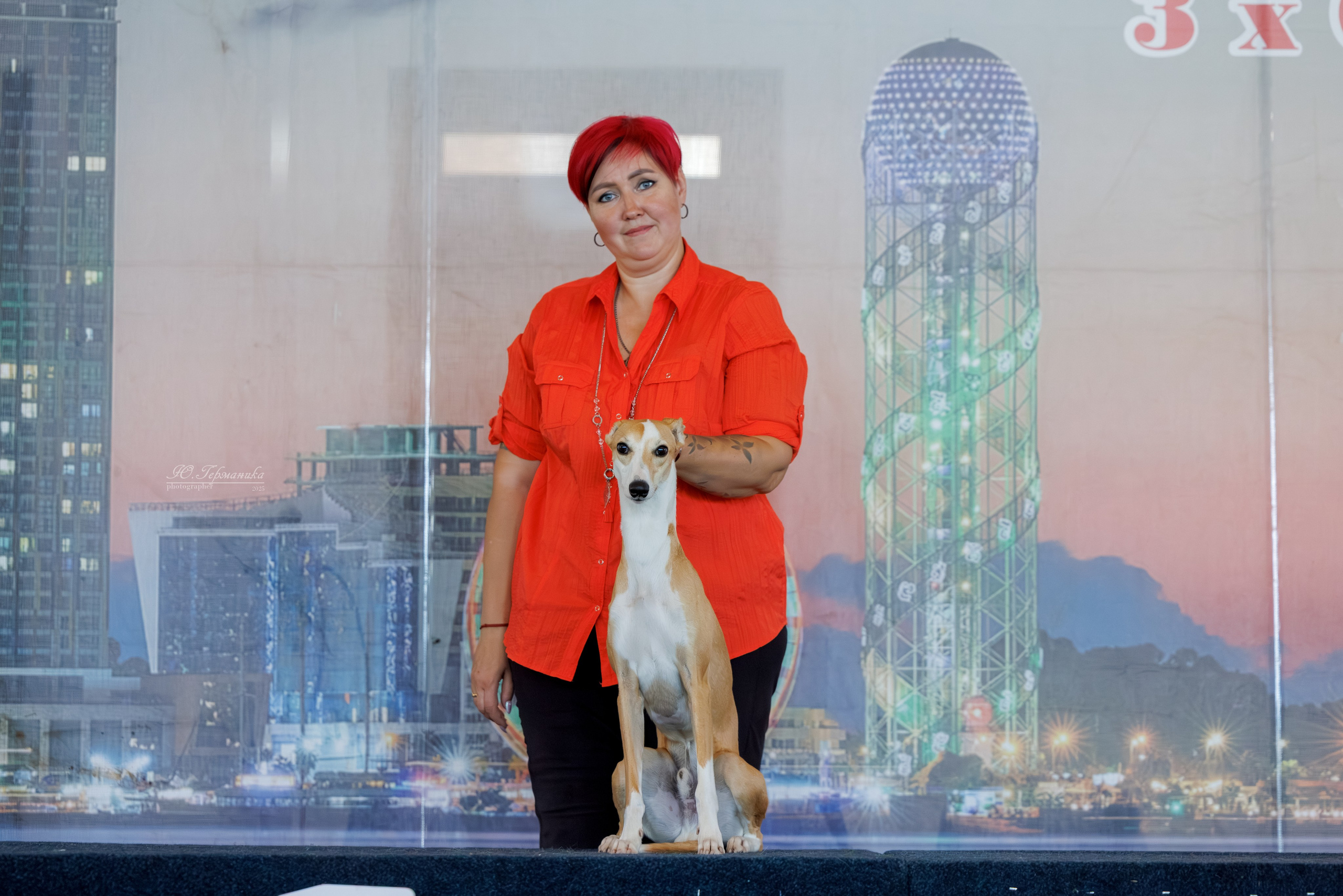 Батуми 3хCACIB 27-29.06.2025. Фотограф-анималист Юлия Германика