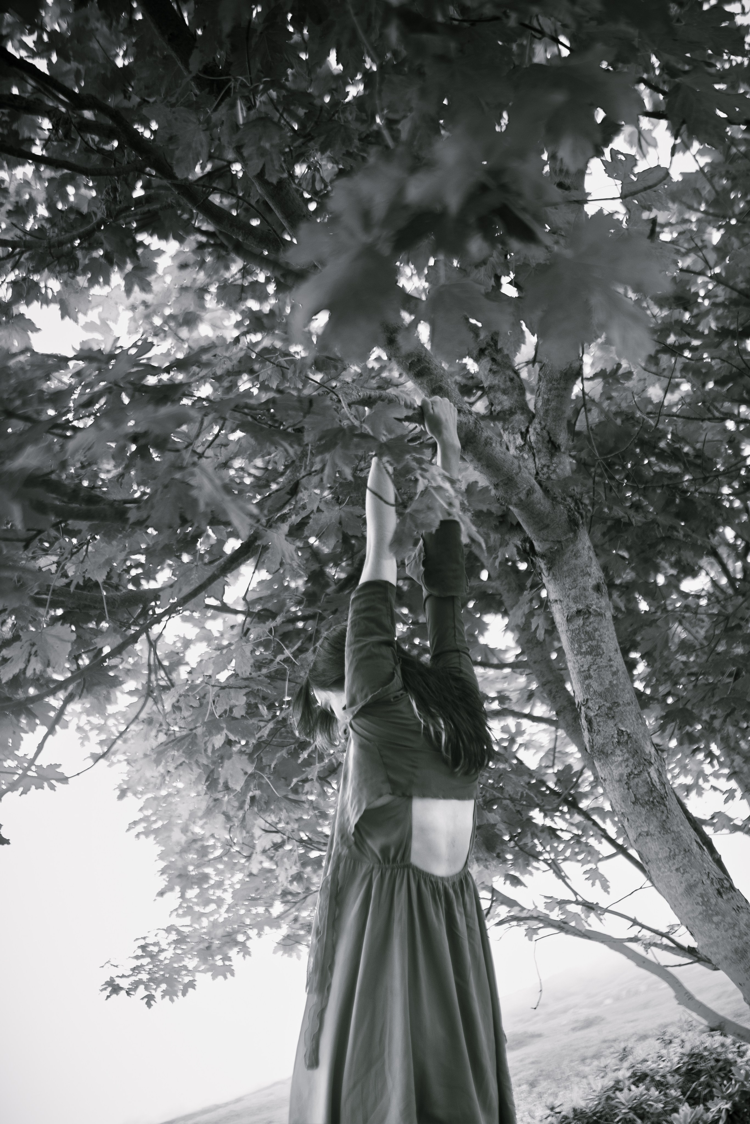 Милость гор. Портфолио фотографа Анастасии Блохиной