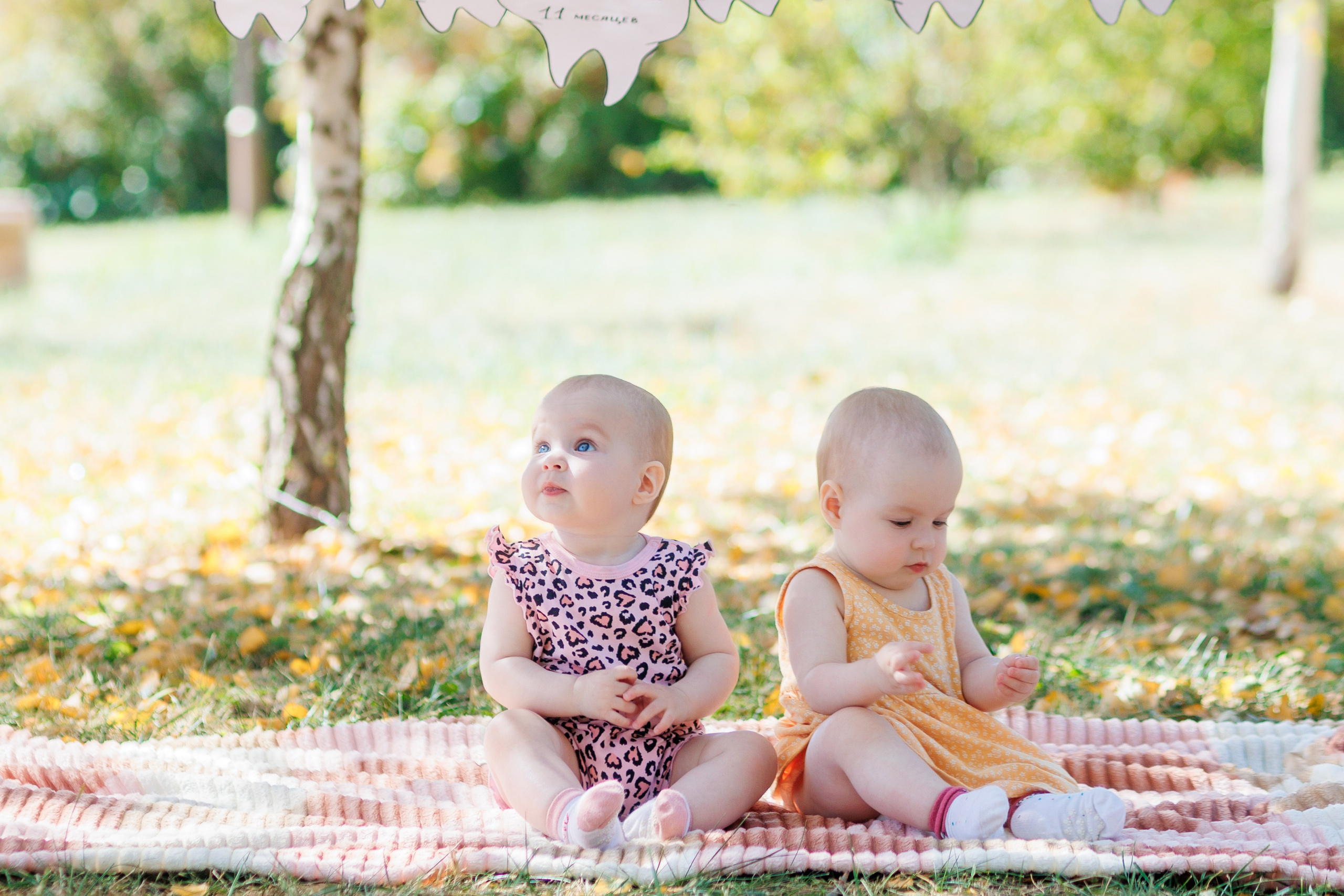 Первый зубик. Свадебный и семейный фотограф в Армавире