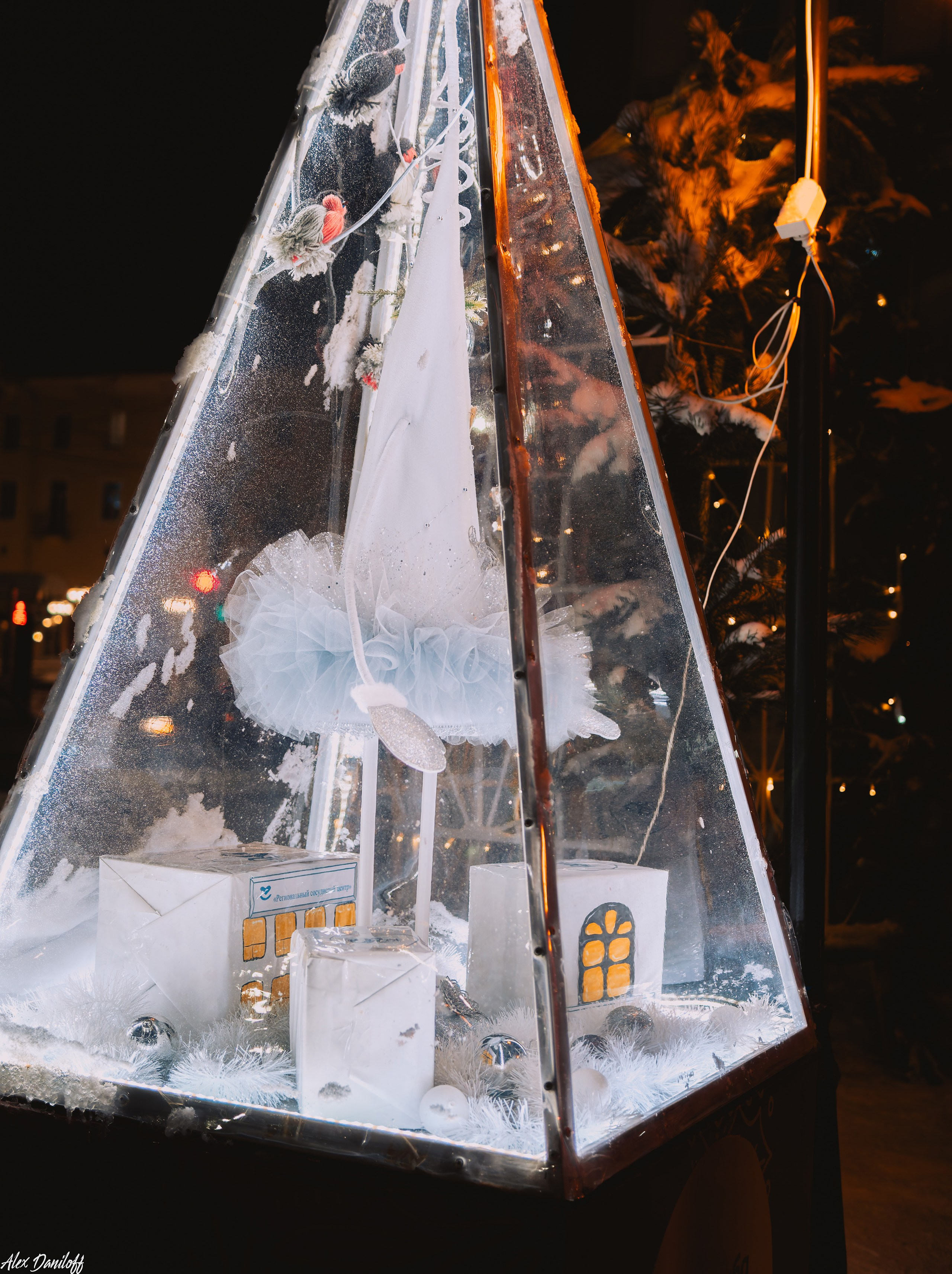 Елки 2025. Муром-Инфо. Новости культуры, образования, спорта в городе Муром