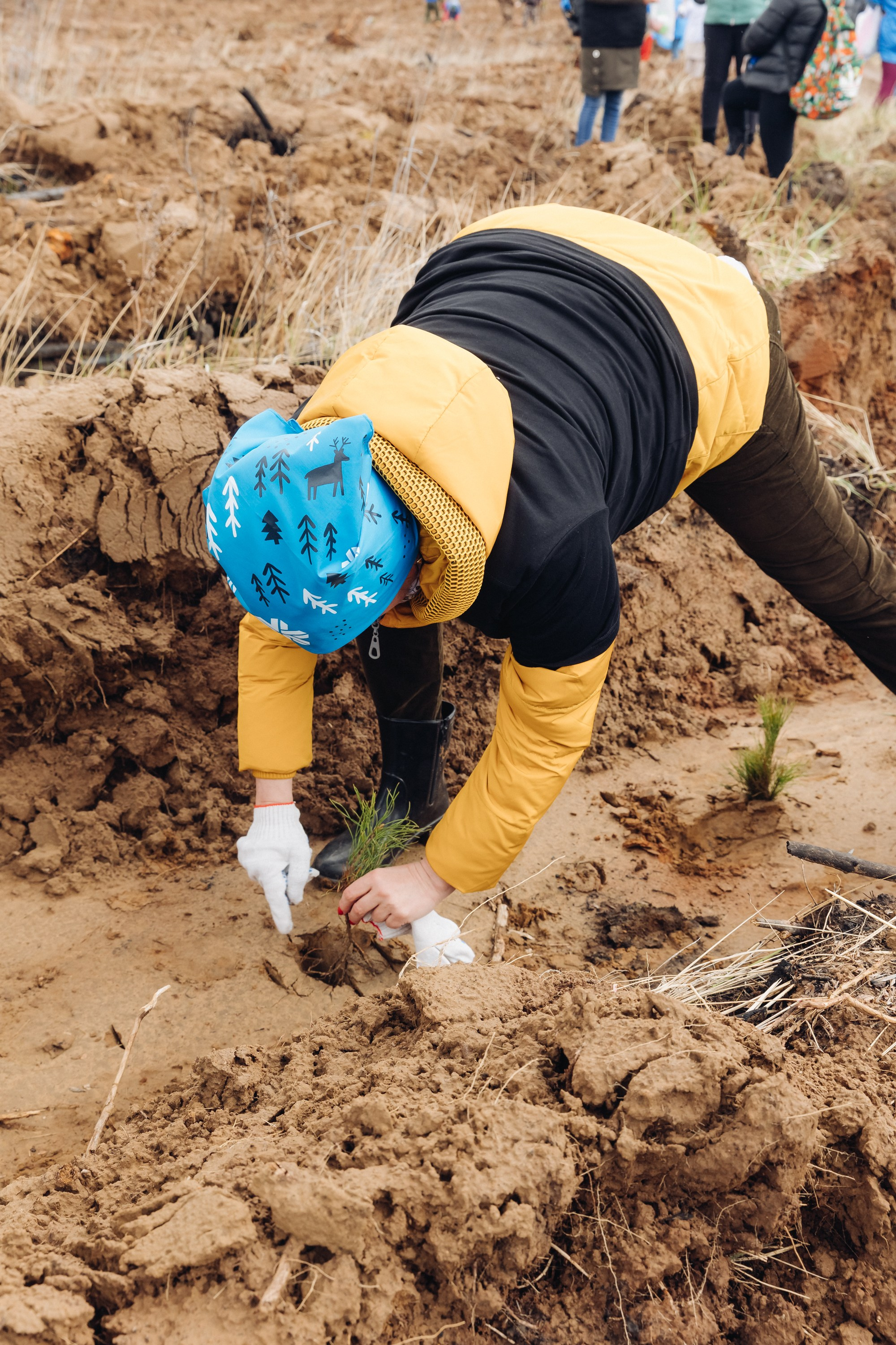 Siberian wellness. Ежегодная акция по посадке деревьев. Свадебный и семейный фотограф в Улан-Удэ