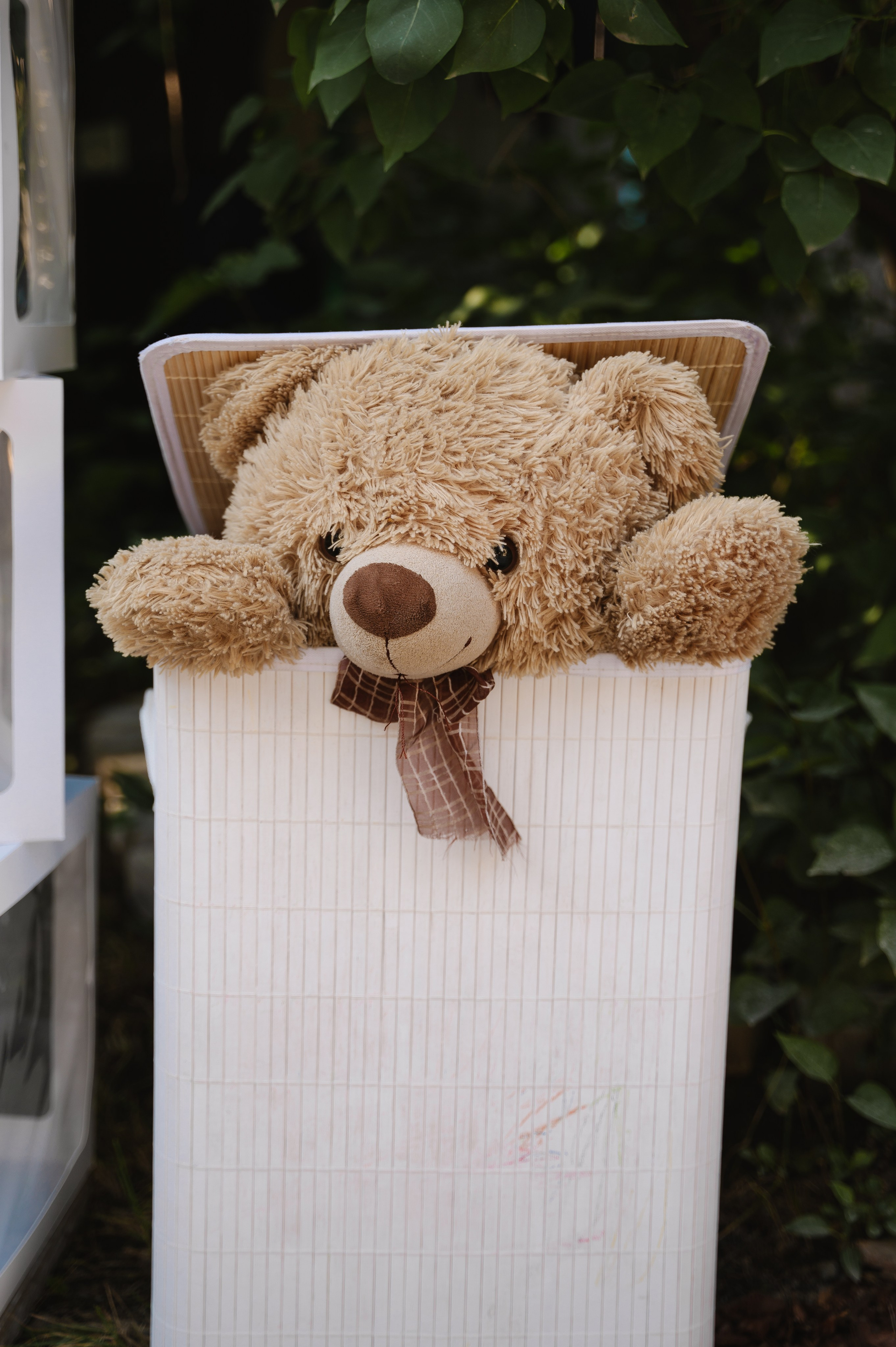 Годовщина|гендер. Фотограф — Ася Орехова