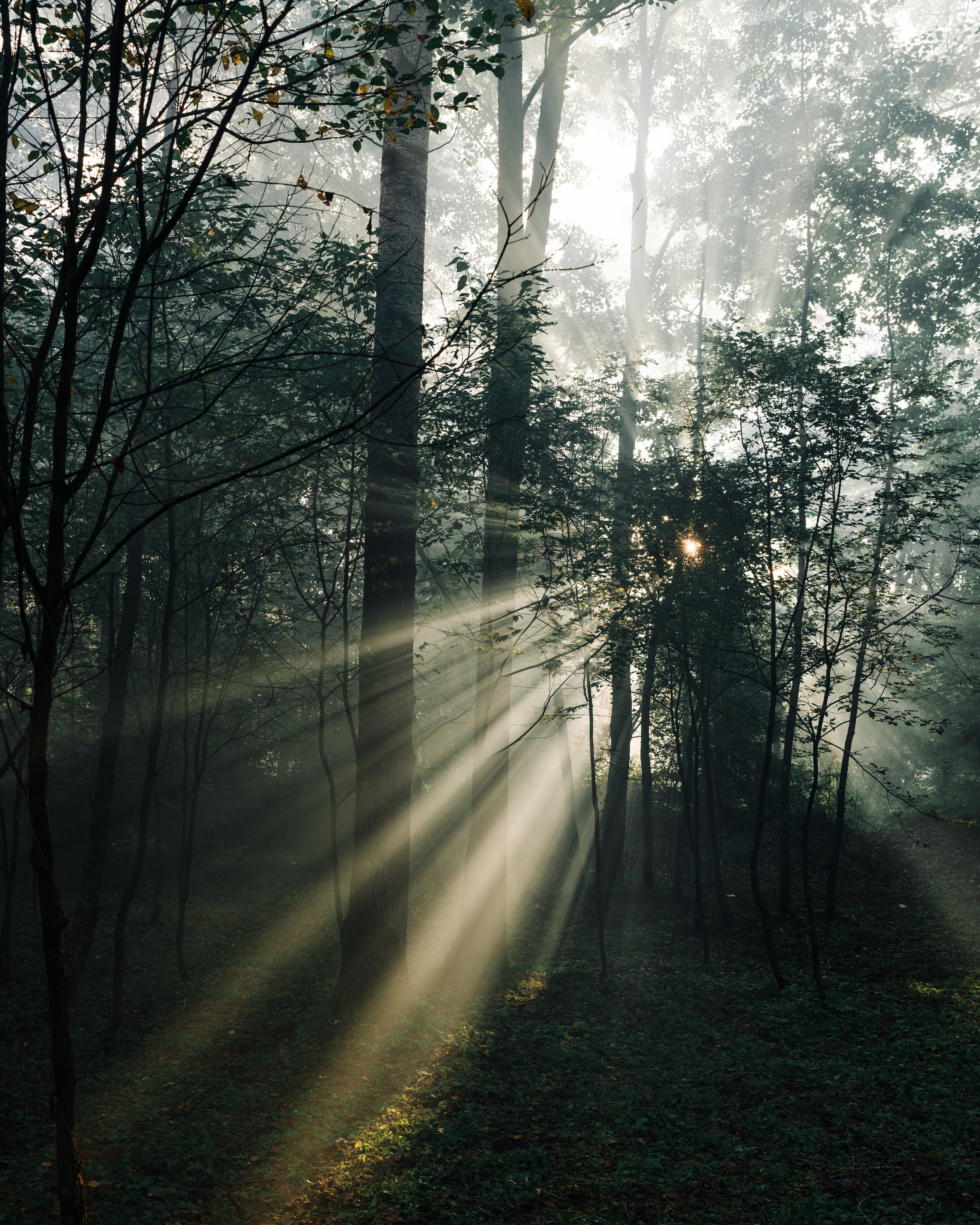 Outline 2024. @tomrus: Рустам Шагиморданов — фотограф