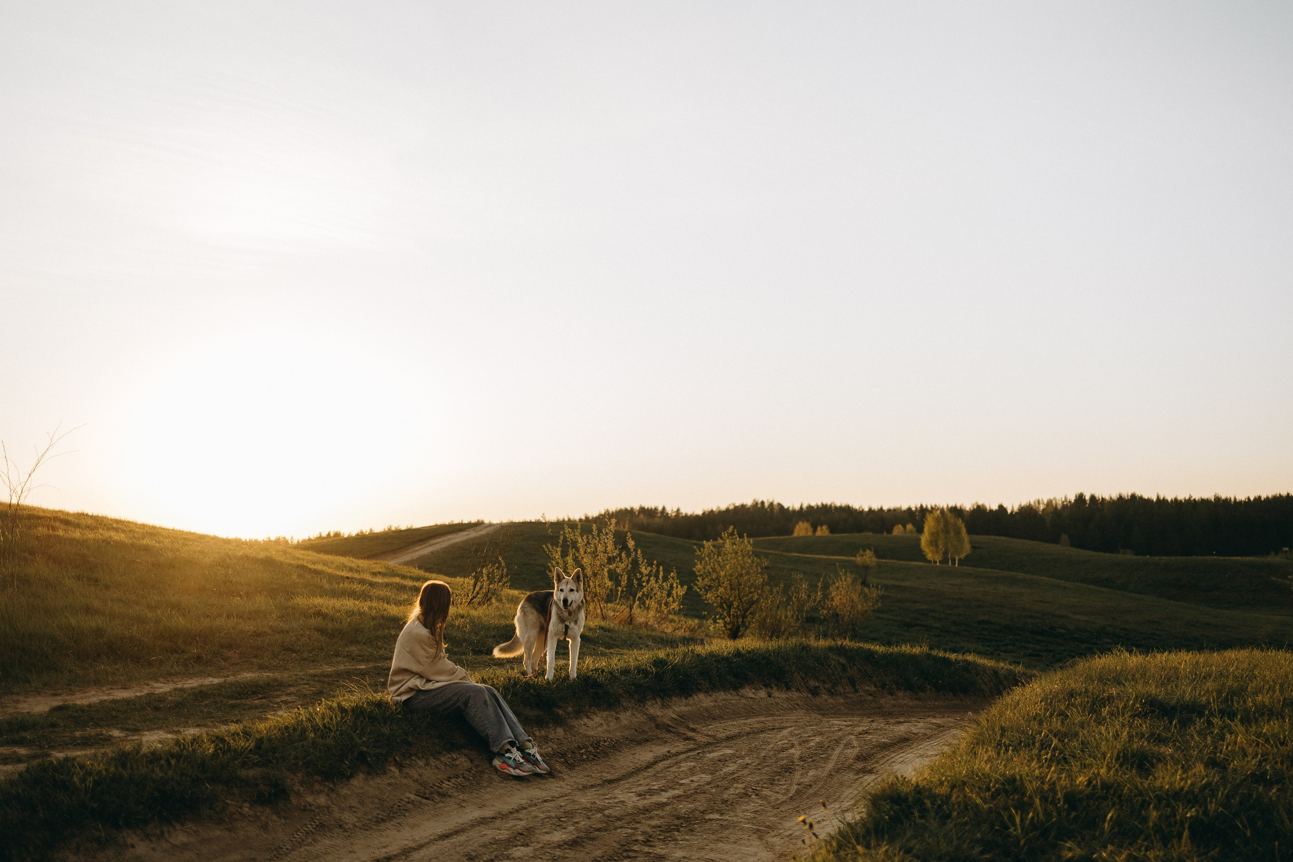 Саша и Зельда. Фотограф — Анималист | Санкт-Петербург