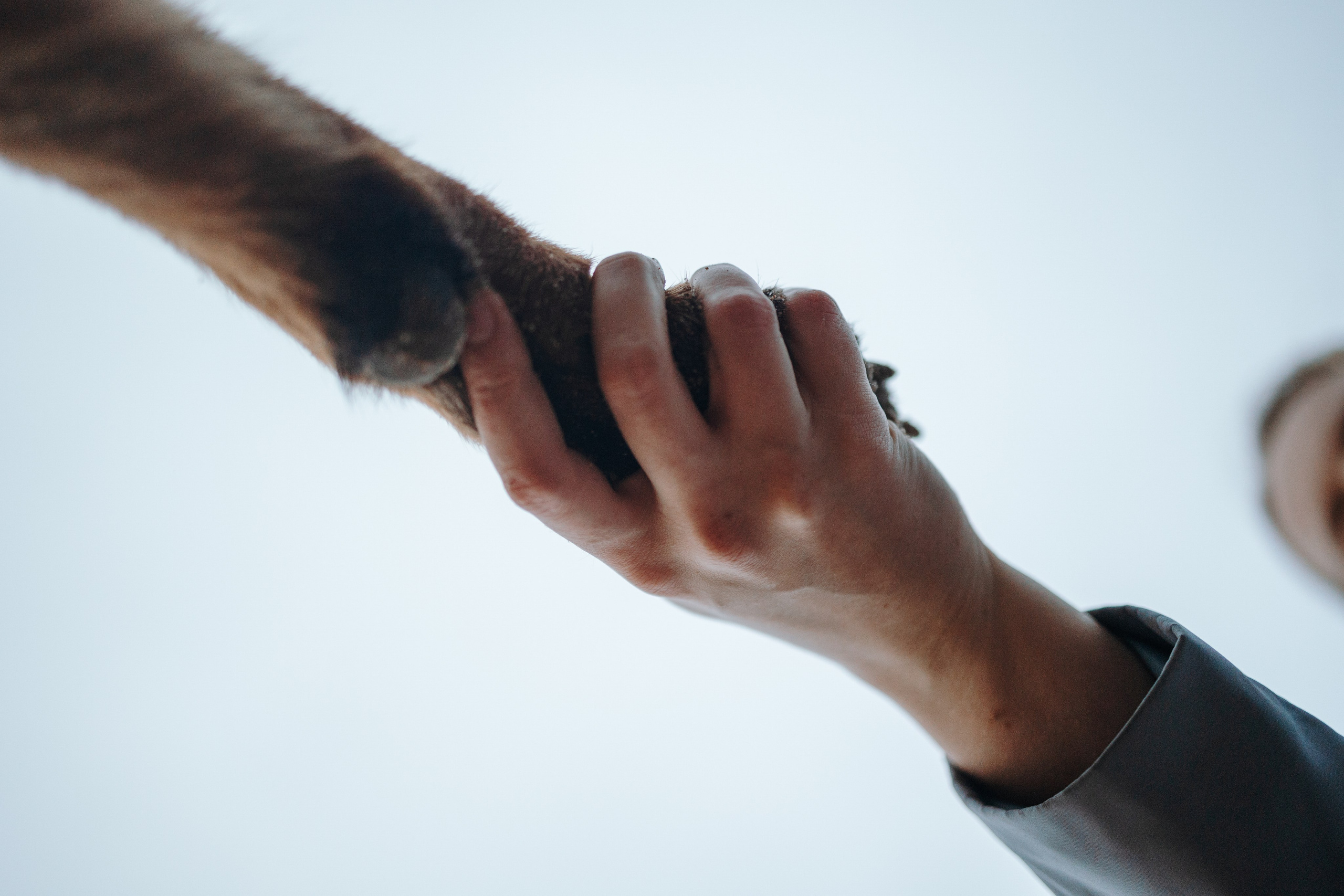 Катя и Агат. Фотограф — Анималист | Санкт-Петербург