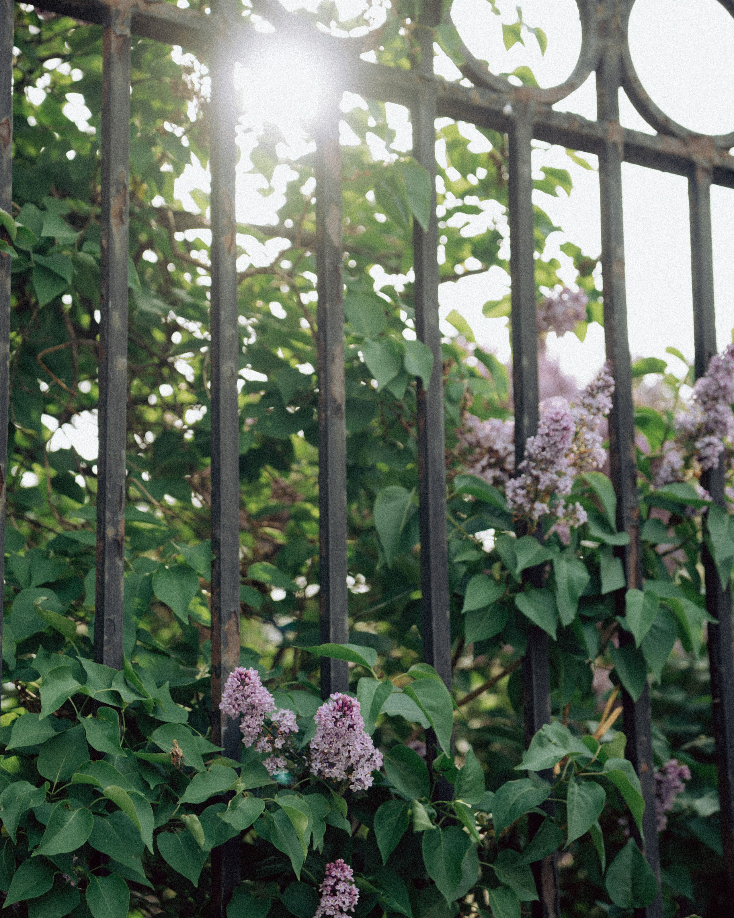 Любовь. сцена первая. Фотограф Москва Селюкова Юлия