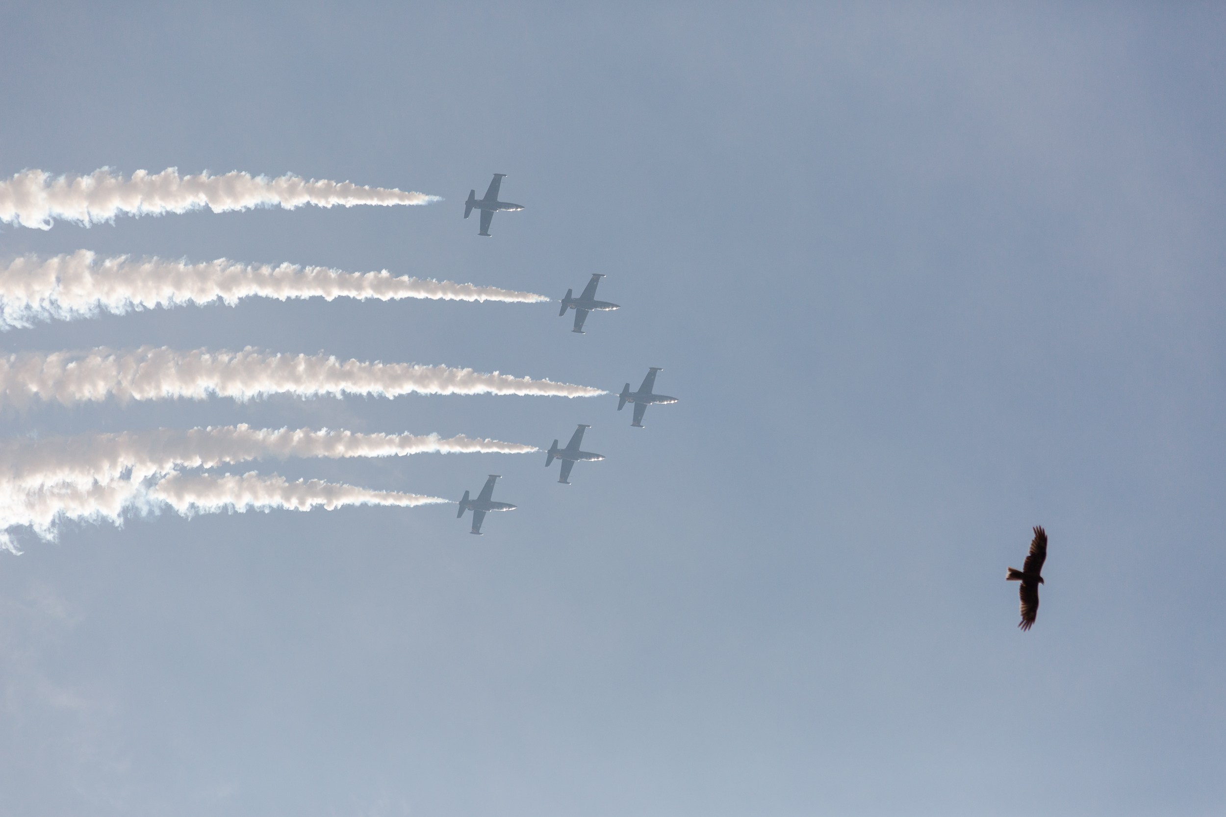 Авиашоу в Новосибирске. Портретный и репортажный фотограф. Мыльников Илья
