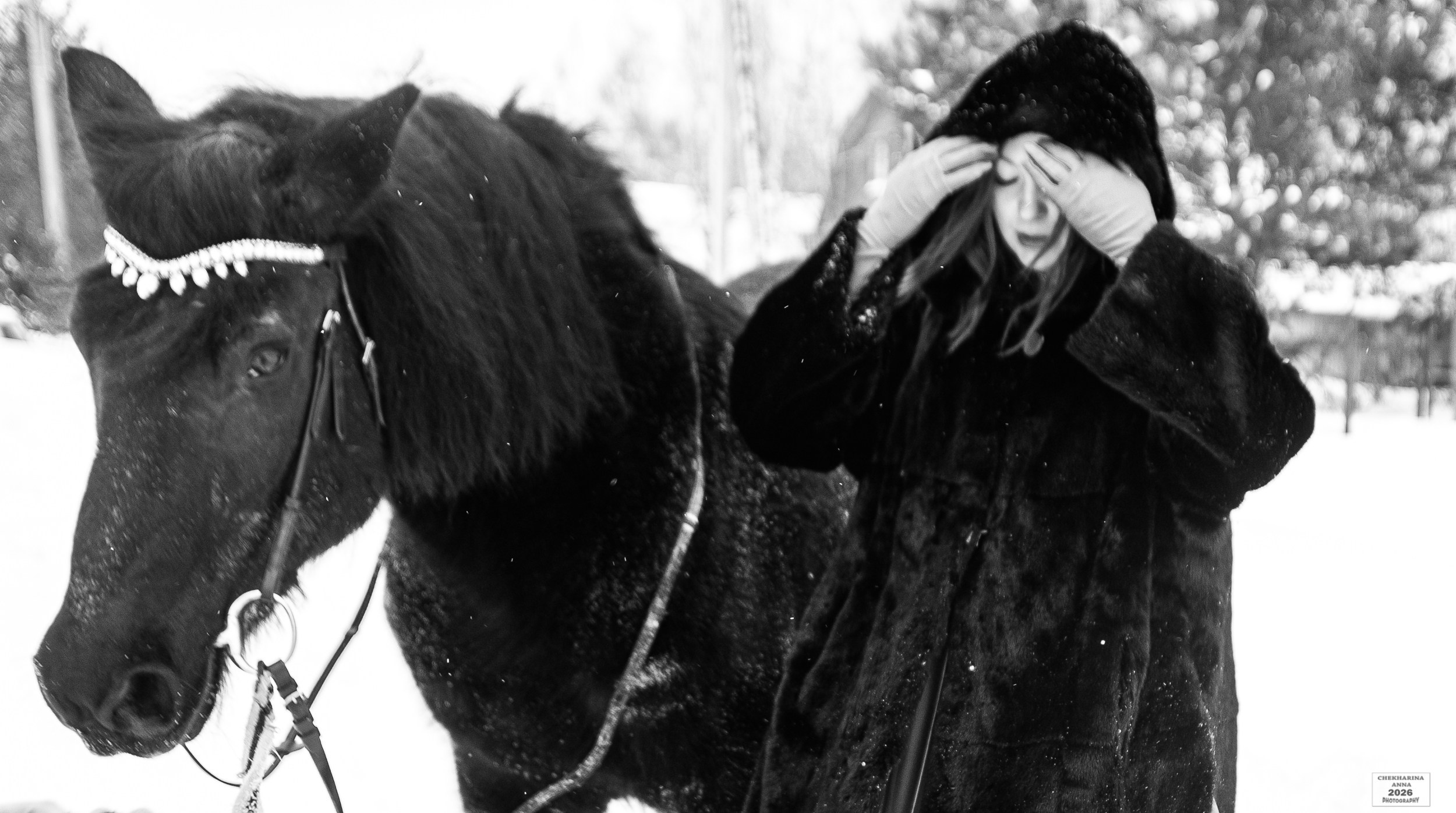 Фотосессии с лошадьми. Профессиональный фотограф Чехарина Анна / pro photographer Chekharina
