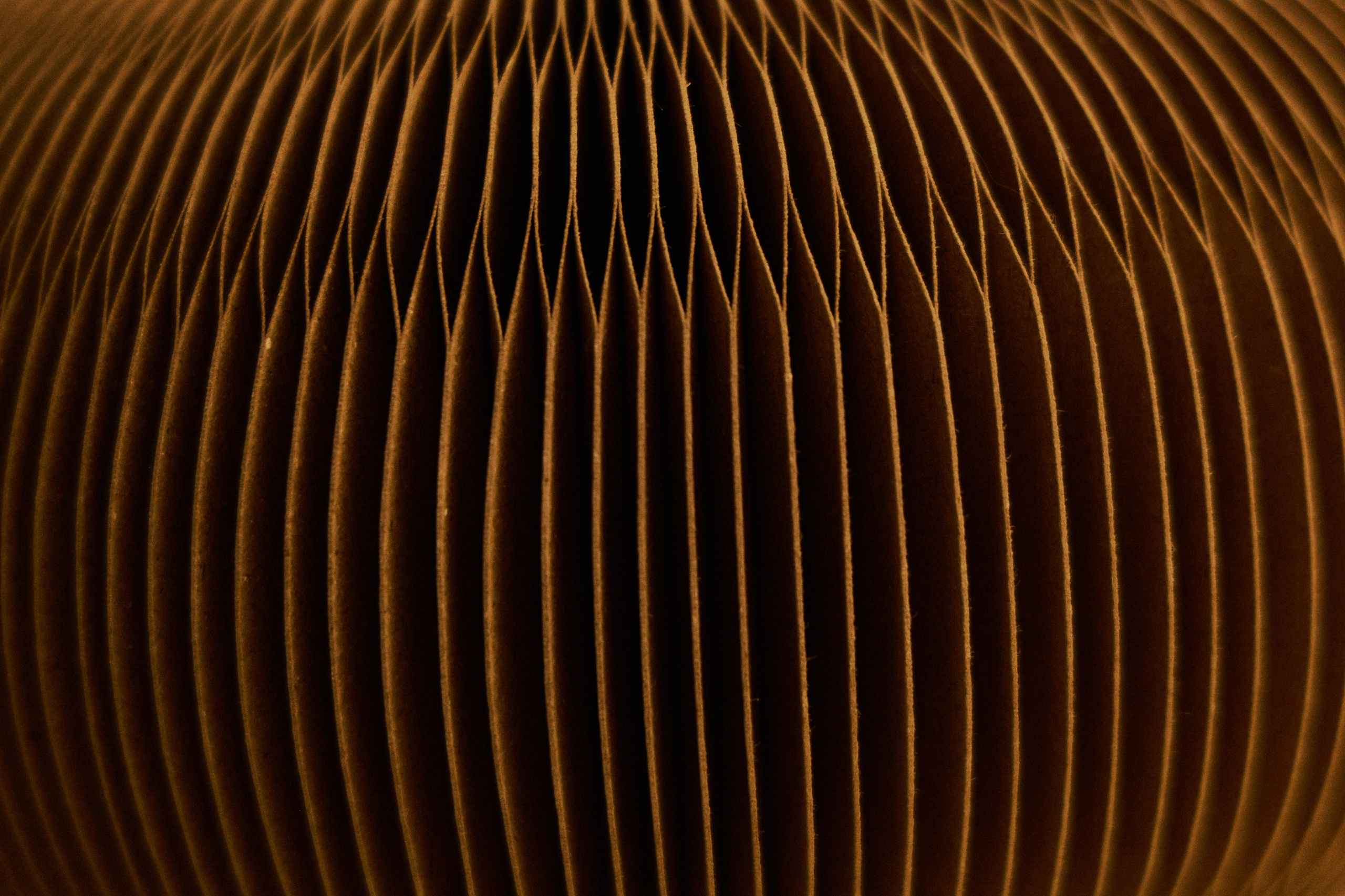 Другое 4. Jorgis — фотограф в Хургаде / обучение фотографии