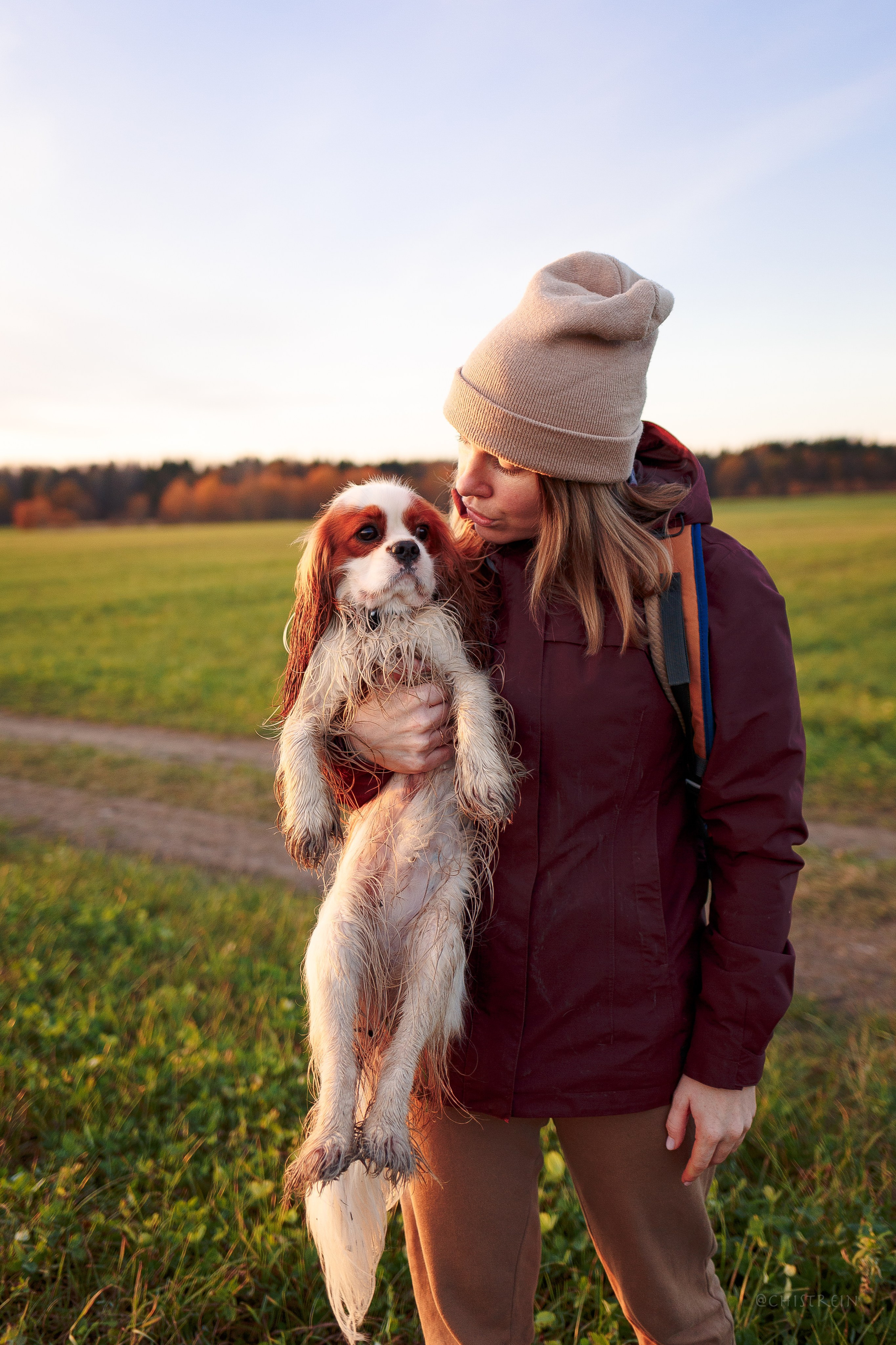 Октябрьский закат в полях. Алина и Лео. Фотограф-анималист Наталия Чистюхина в г. Сосновый Бор и ЛО