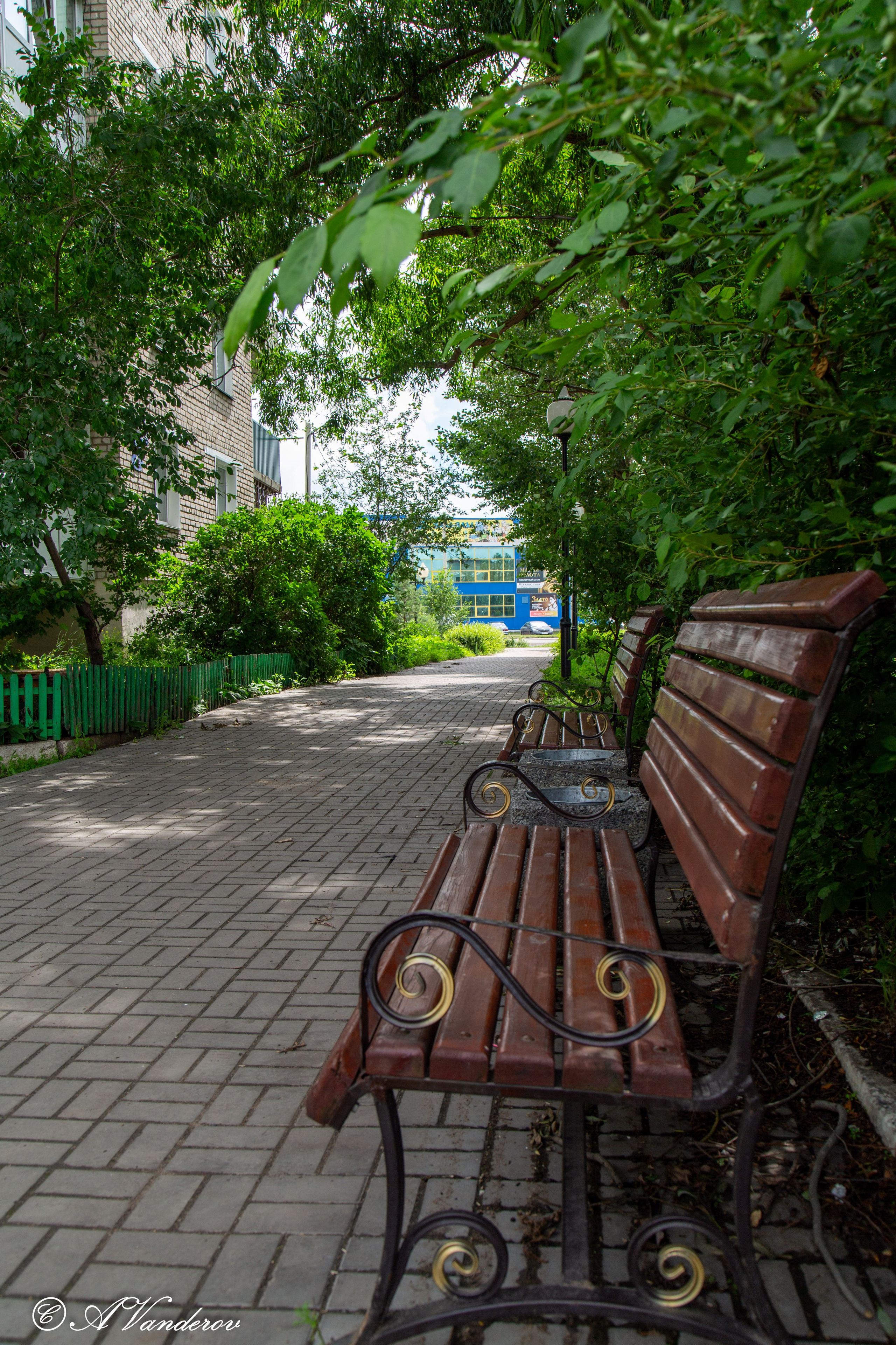 Калачинск 07.07.2024. Фотограф Омск | Александр Вандеров