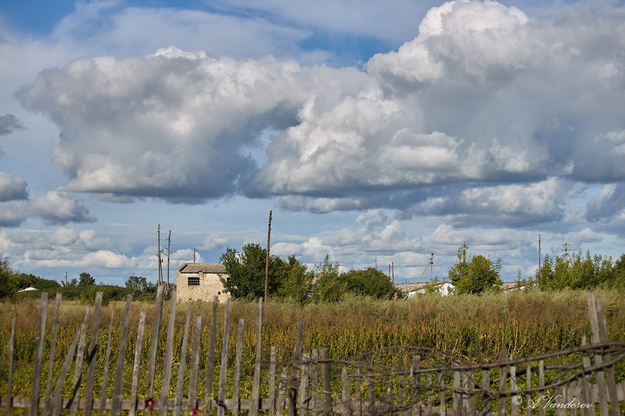 Село Савкино Баганского района Новосибирской области. Фотограф Омск | Александр Вандеров