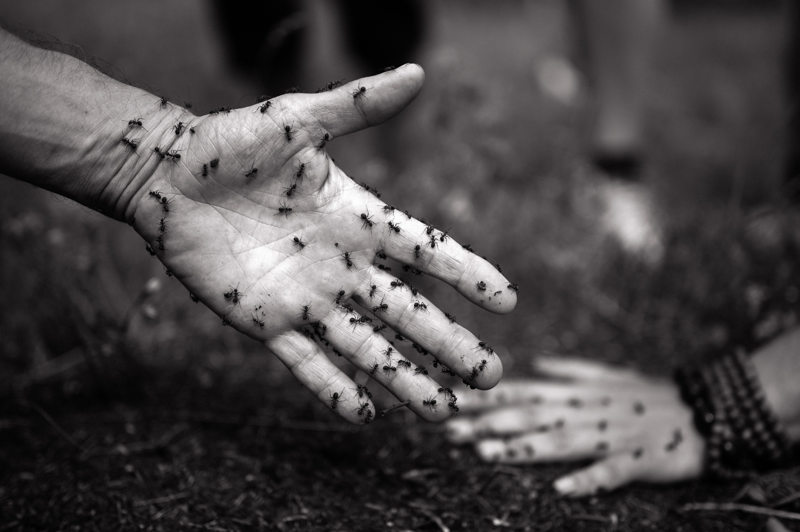 Plein-air_events. Wedding and Destination photographer Rustam Kalimullin