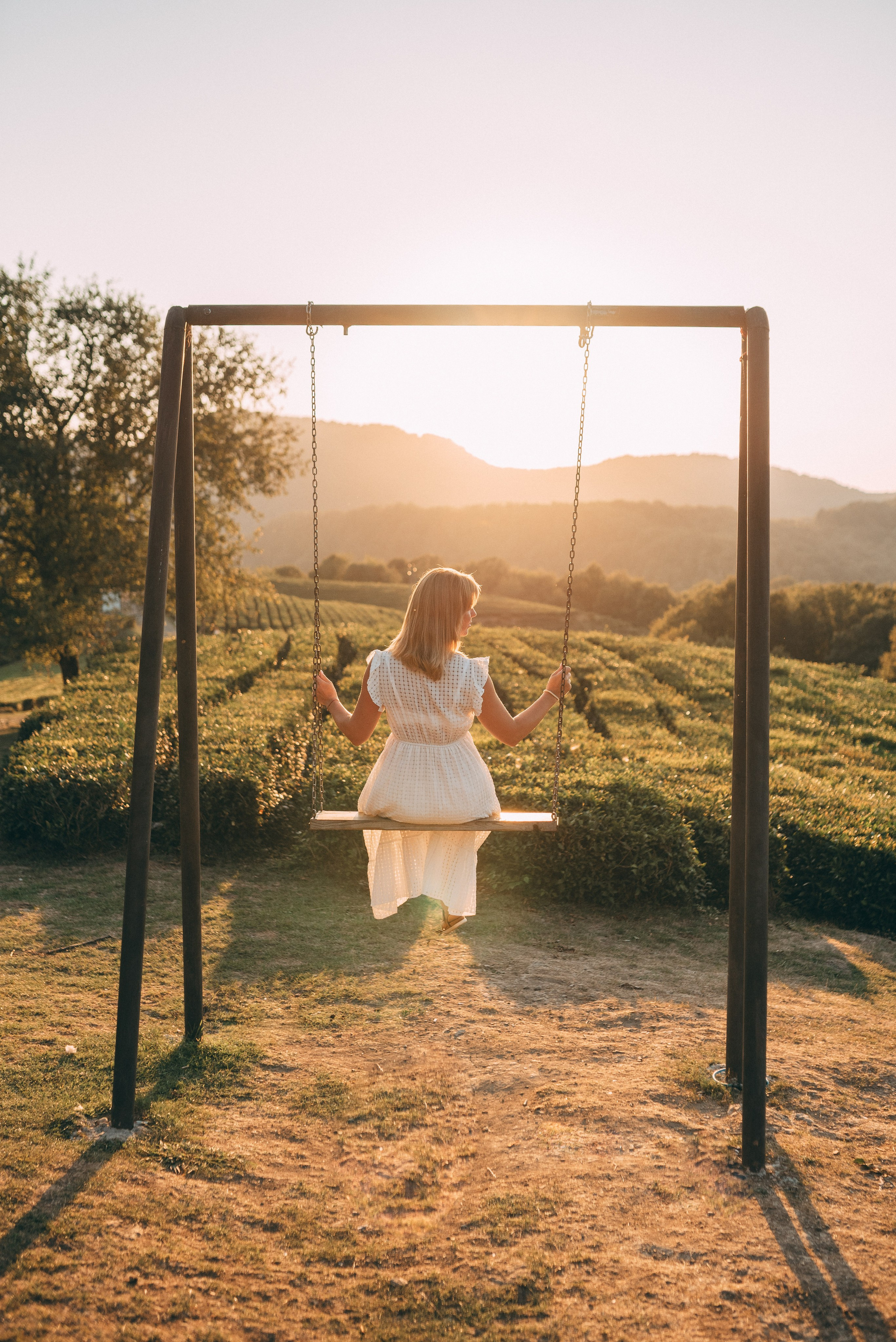 Чайные плантации 🌿✨. Фотограф в Сочи — Маргарита Поганова