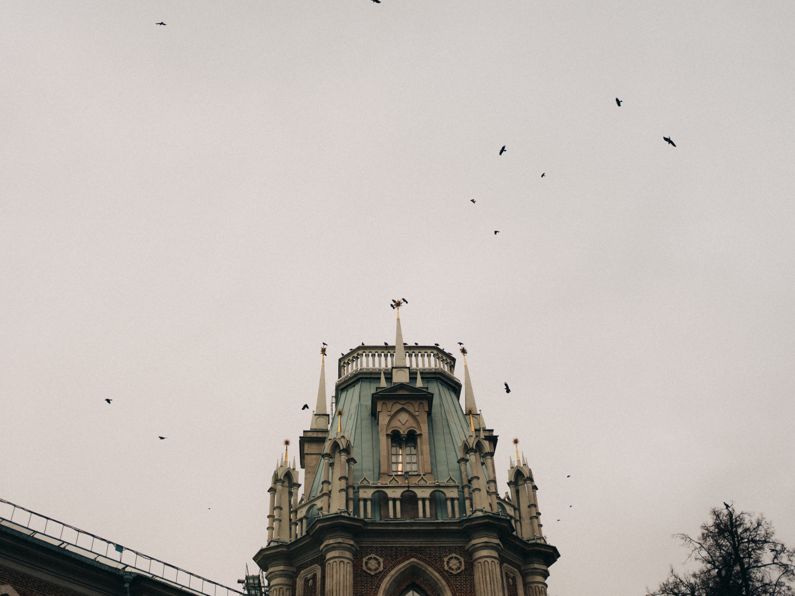 Наше лучшее «сейчас». Фотограф Ксения Калюжная