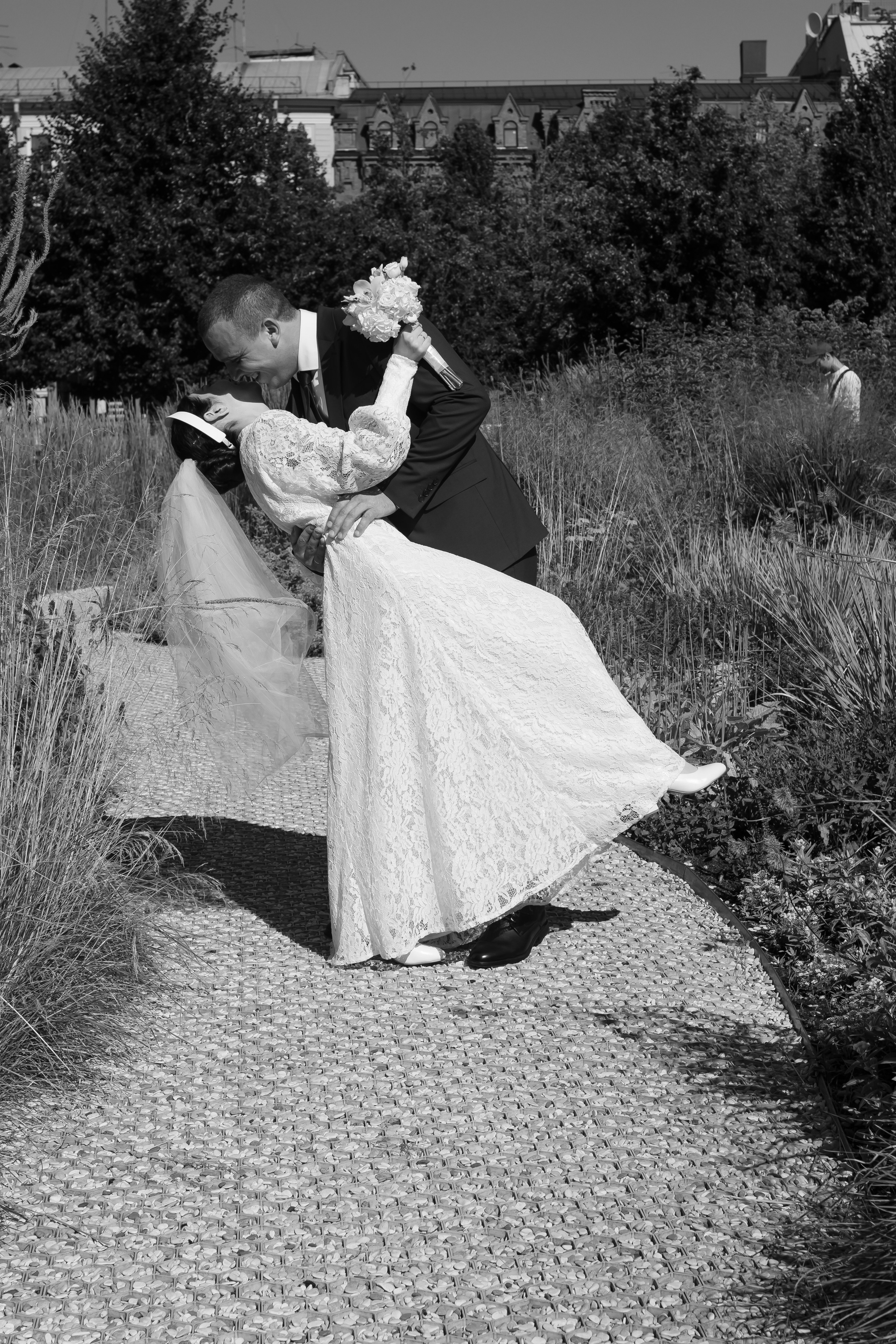 Новая Голландия