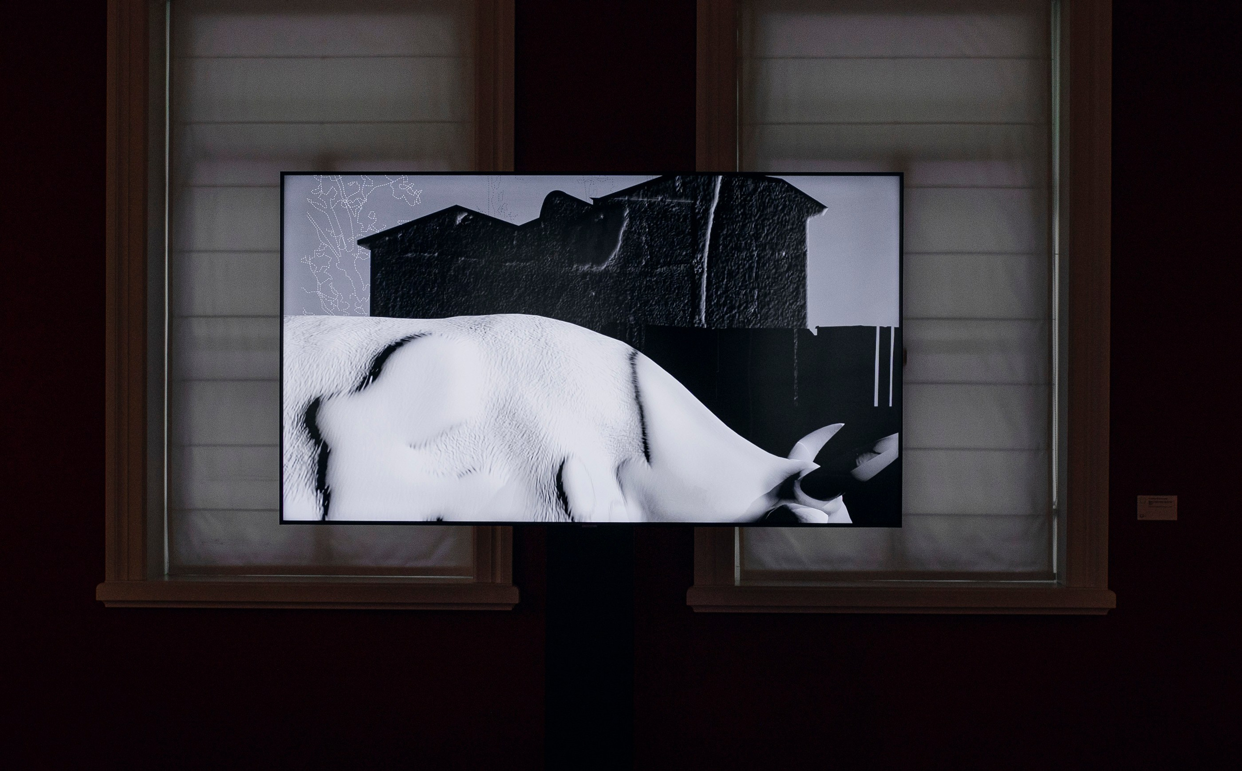 Выставка в доме Третьяковых. Фотограф в Москве Алейникова Евгения