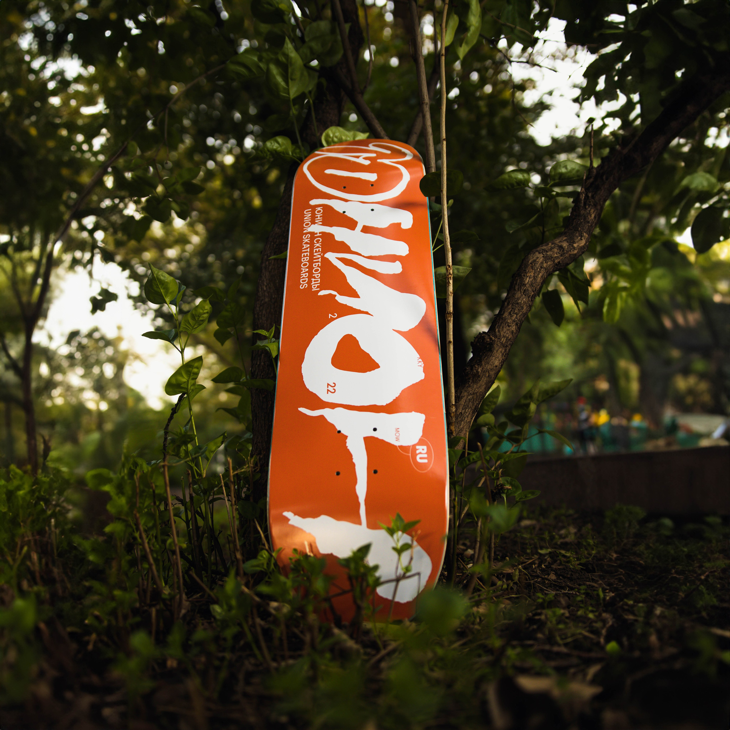 Предметная фотосессия. Samur.eye