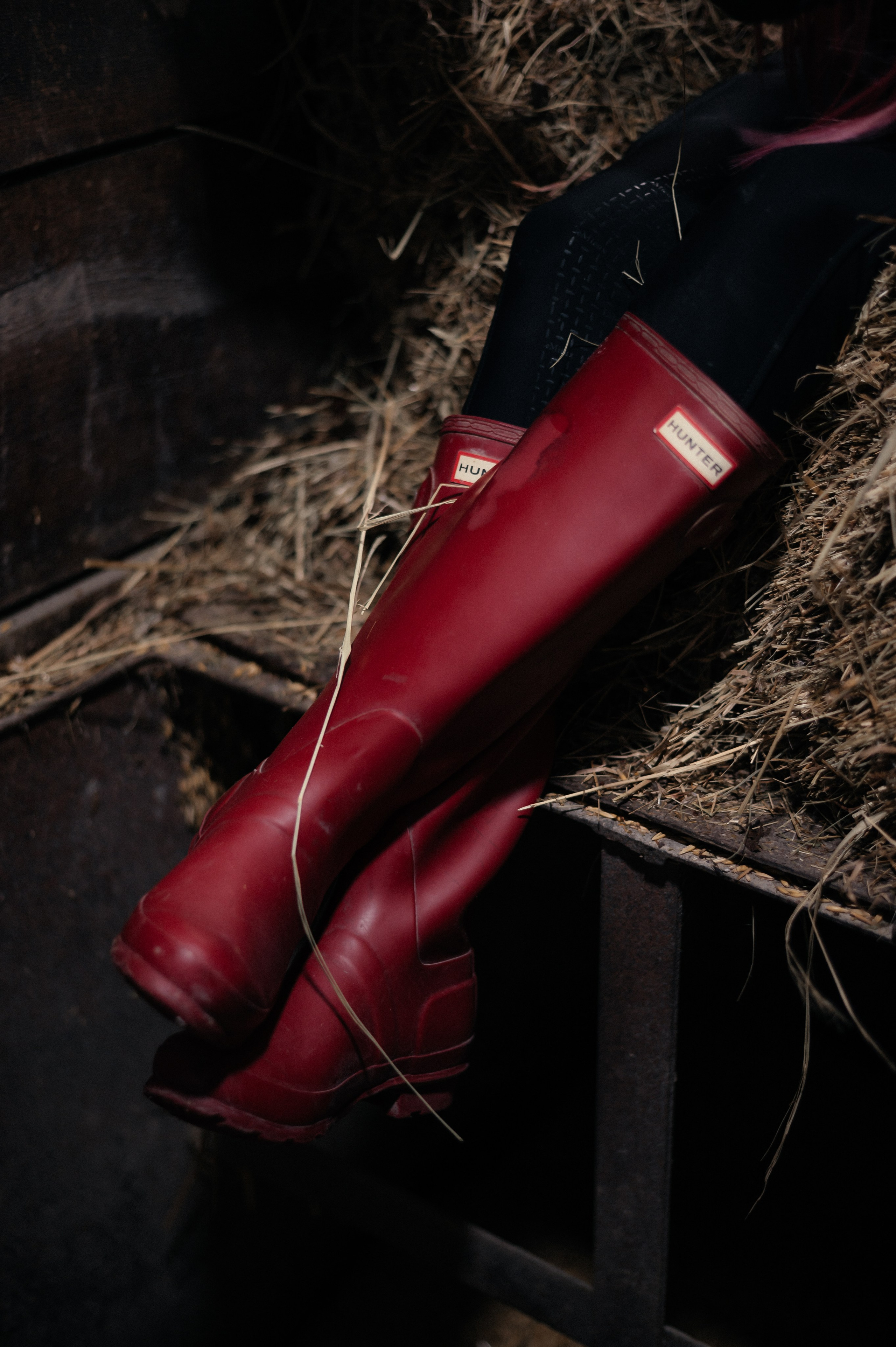 Из Швейцарии на конюшню в Сочи. Фотограф Сергей Суслов | Сочи