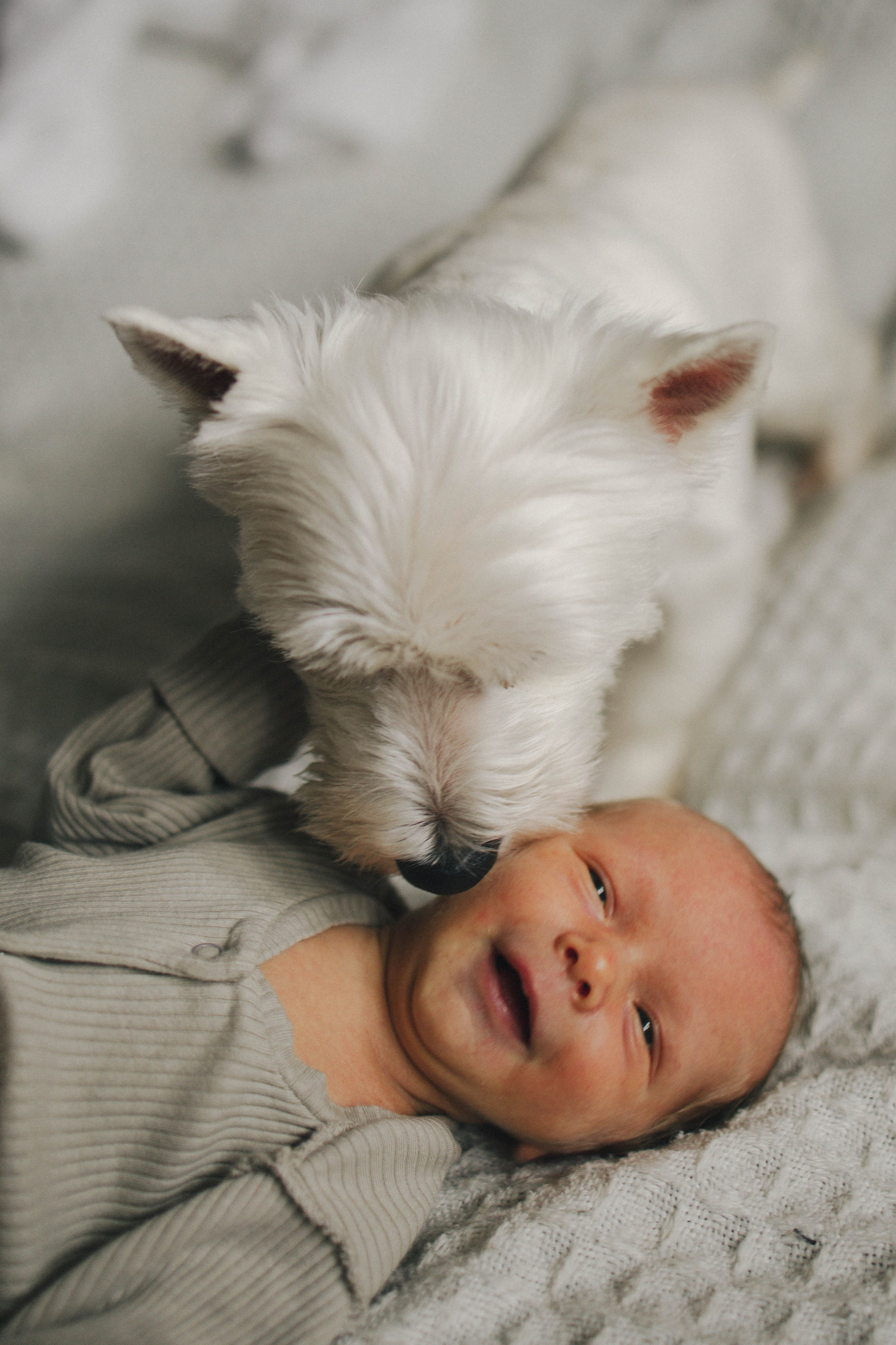 Фотосессия в честь рождения Ромы. Семейный и детский фотограф в Москве Маргарита Сереброва