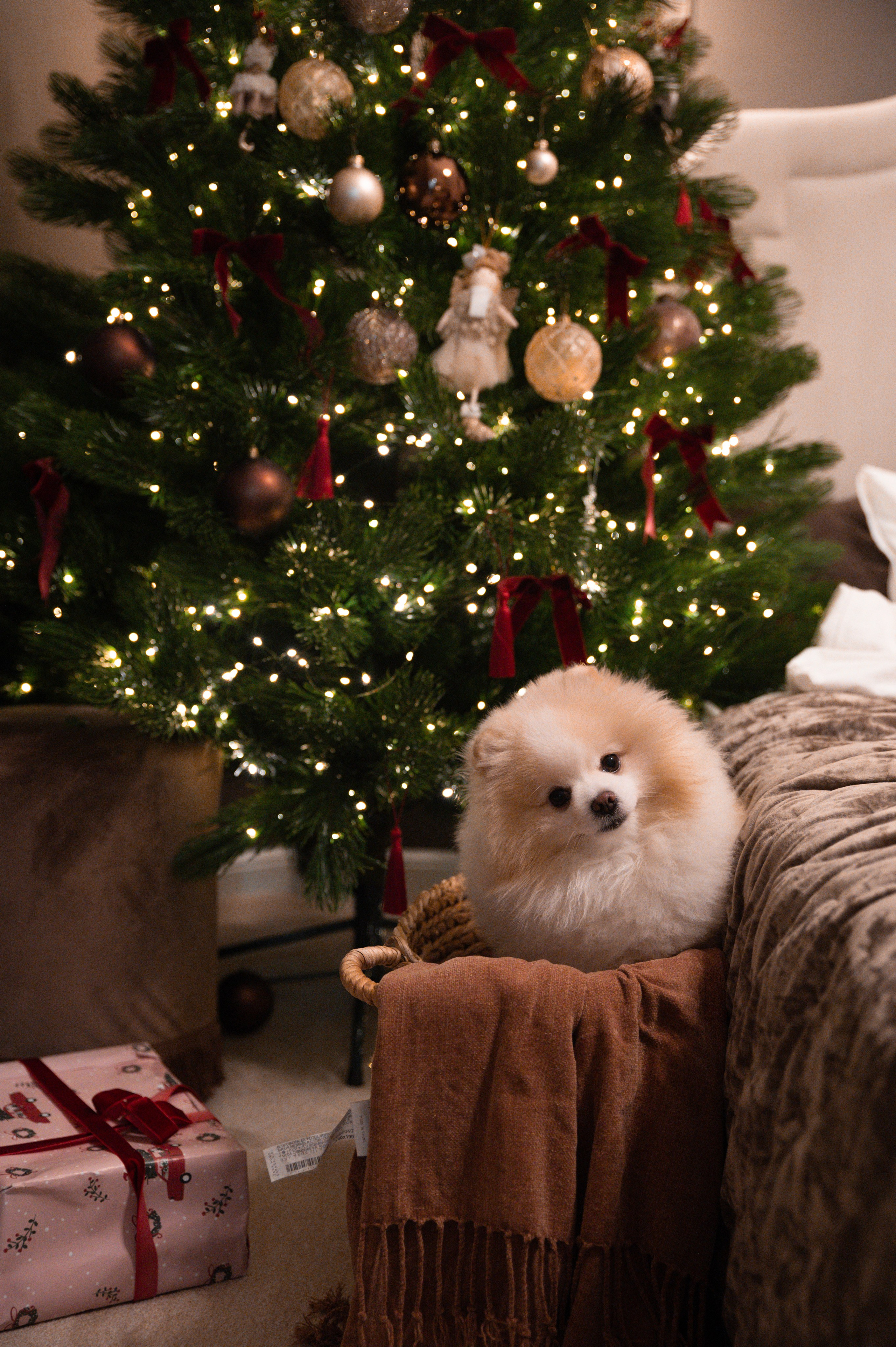 Максим, Анна и Лу. Фотограф в Севастополе — Ольга Максименко