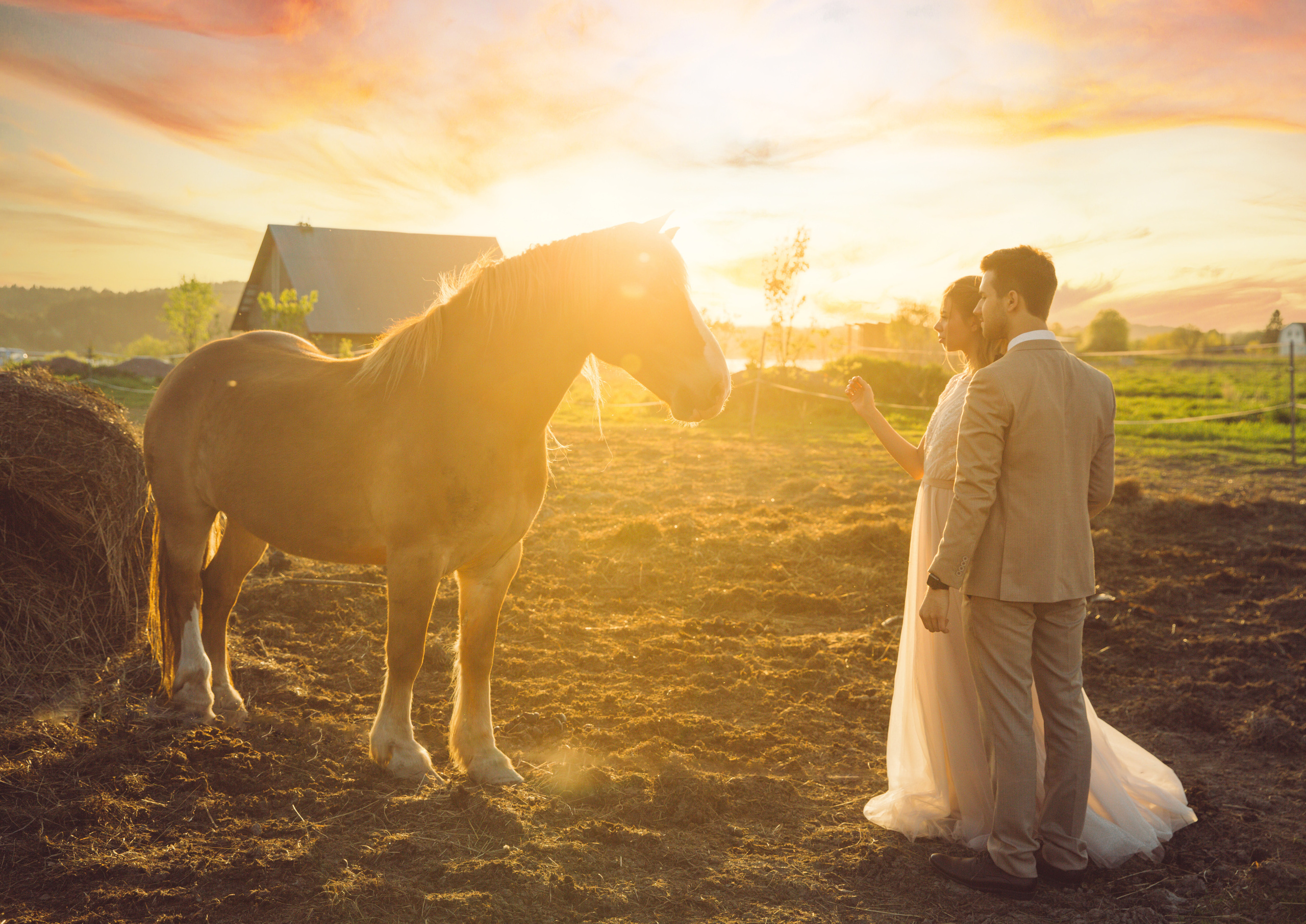Фотосъемка свадеб. Фотограф ваших чувств в Санкт-Петербурге