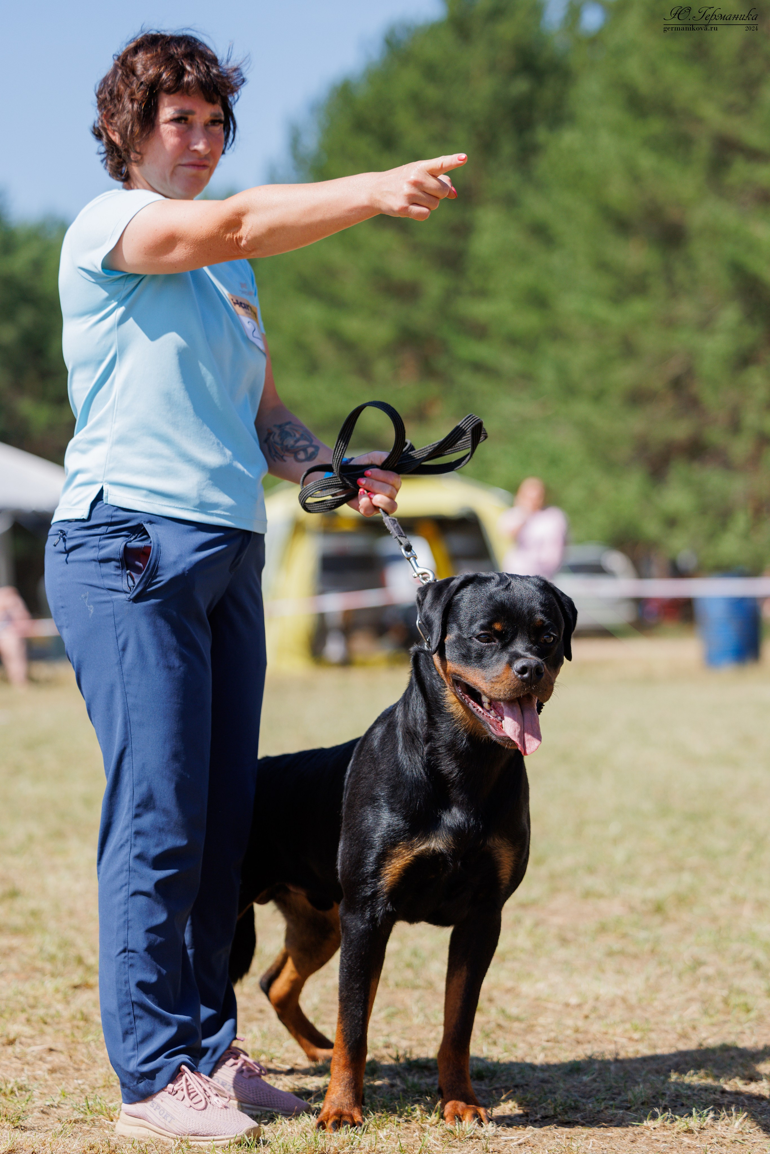 ПК и КЧК ротвейлеры Тверь 6-7.07.2024. Фотограф-анималист Юлия Германика
