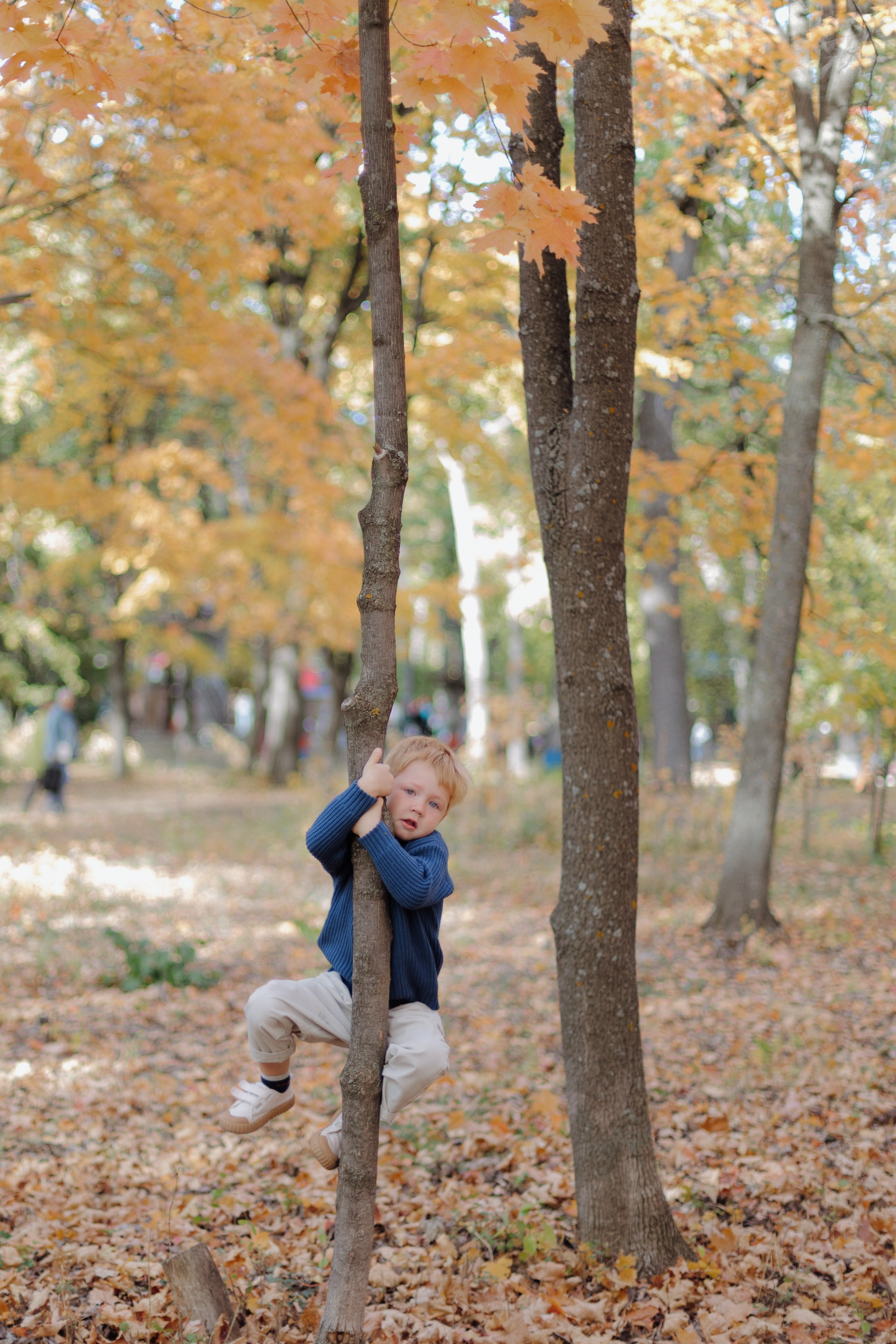 Осенняя семейная съемка. Свадебный и семейный фотограф в Самаре Катя Боб