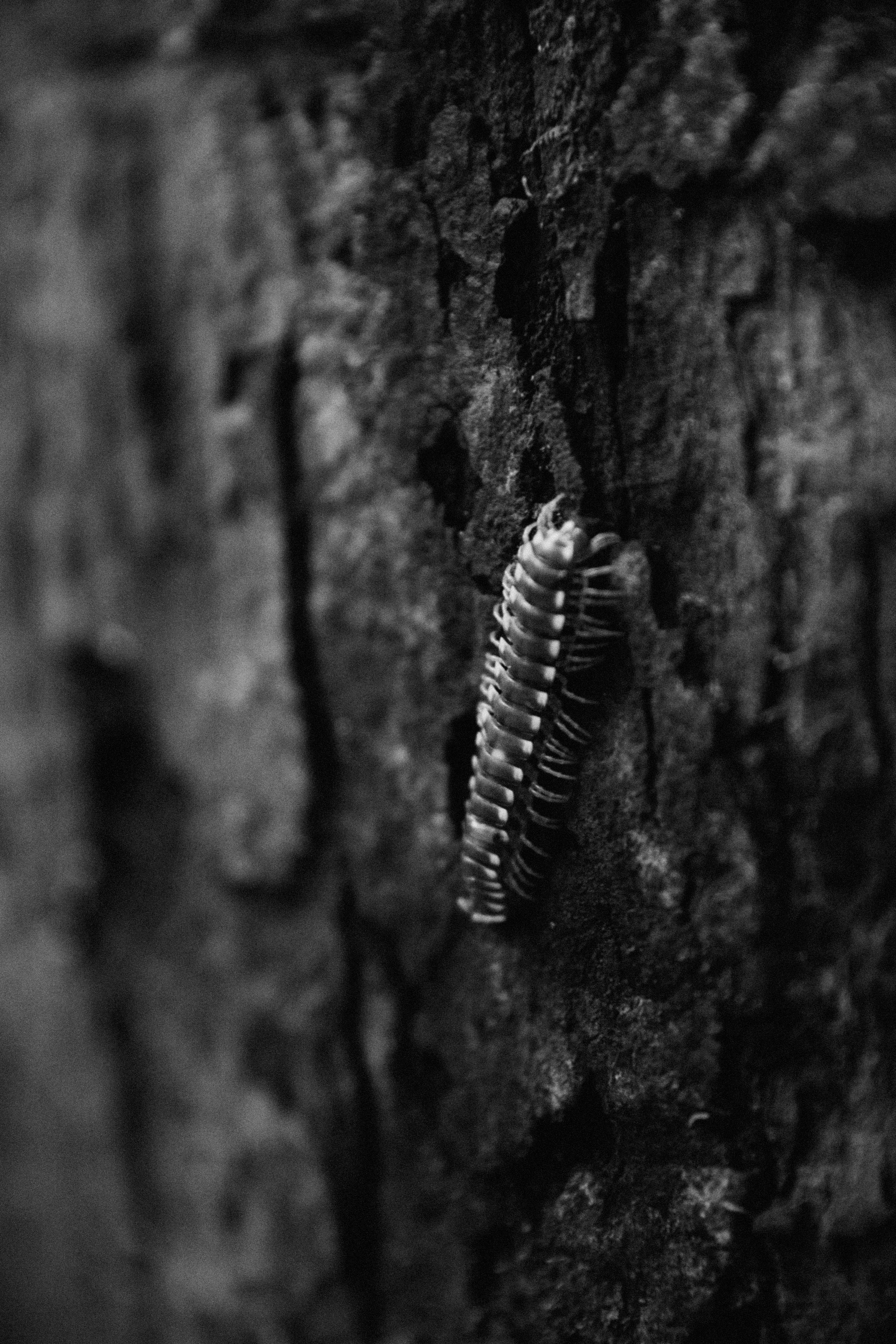 Vicky. Портретный фотограф / Панама / Анастасия Елизарова