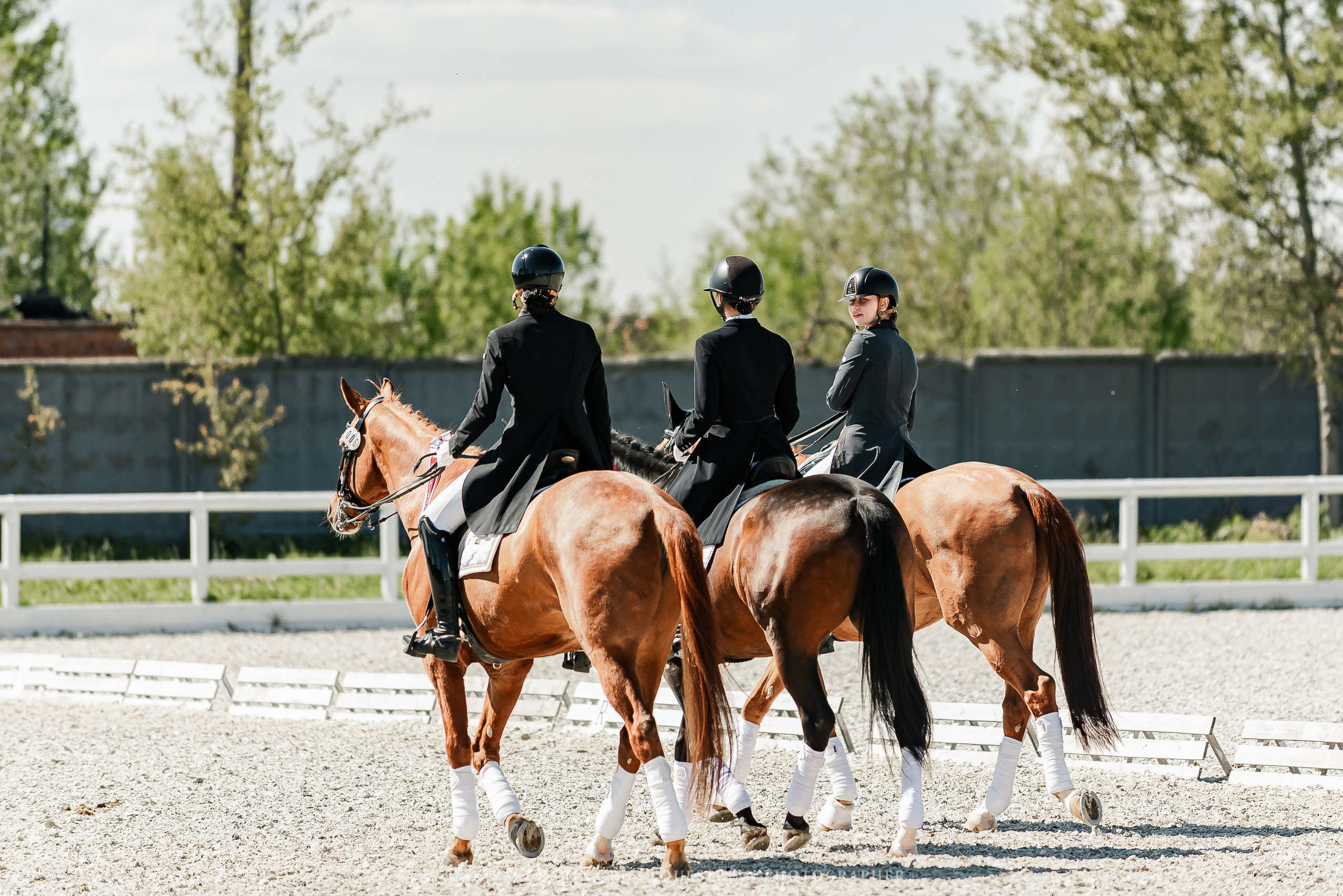 РЕПОРТАЖ МКК ВОЛЬТ «LA TULIPS». Конный фотограф Куракина Дарья • Фотосессии с лошадьми