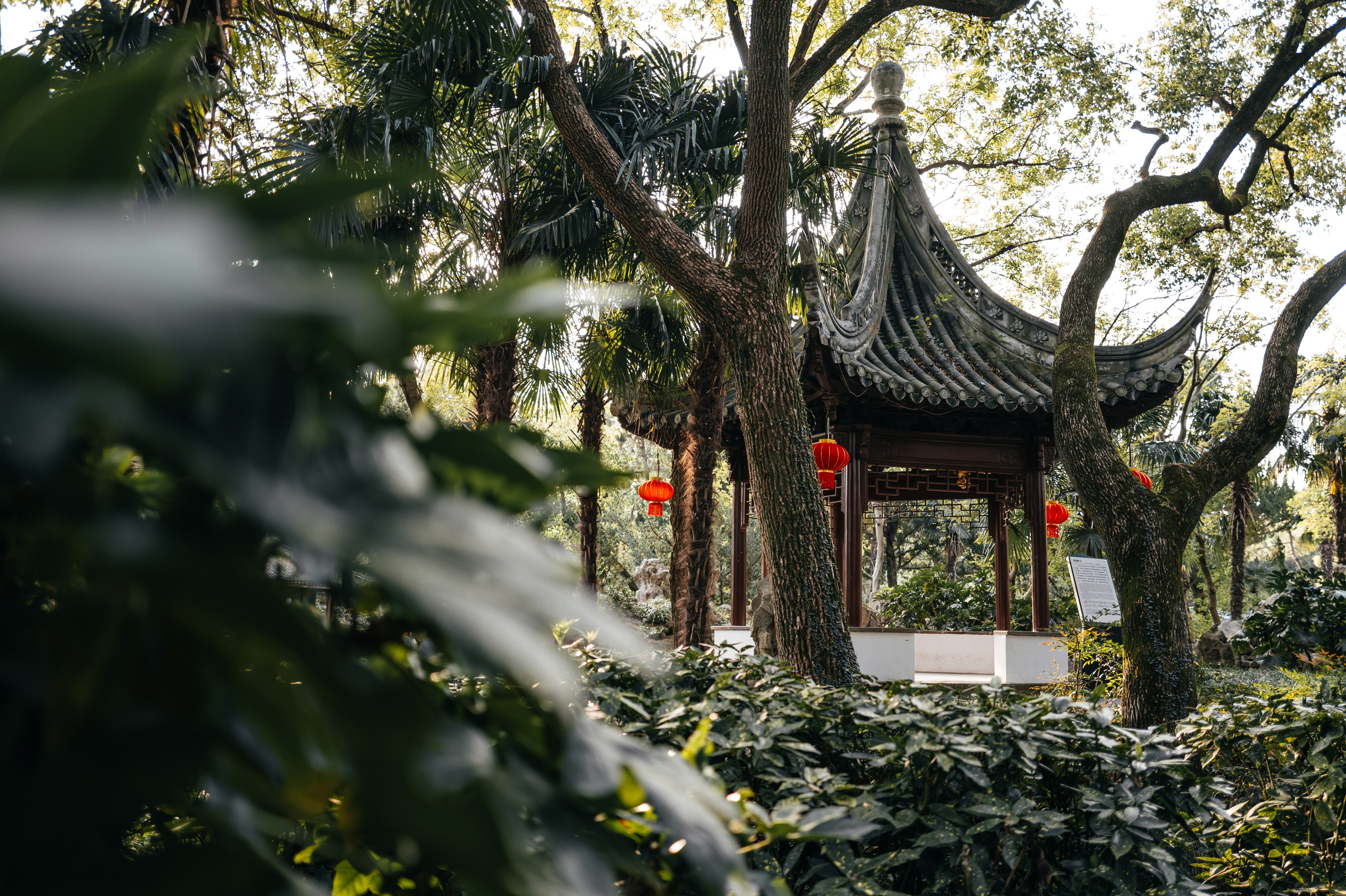 China/Китай. @tomrus: Рустам Шагиморданов — фотограф