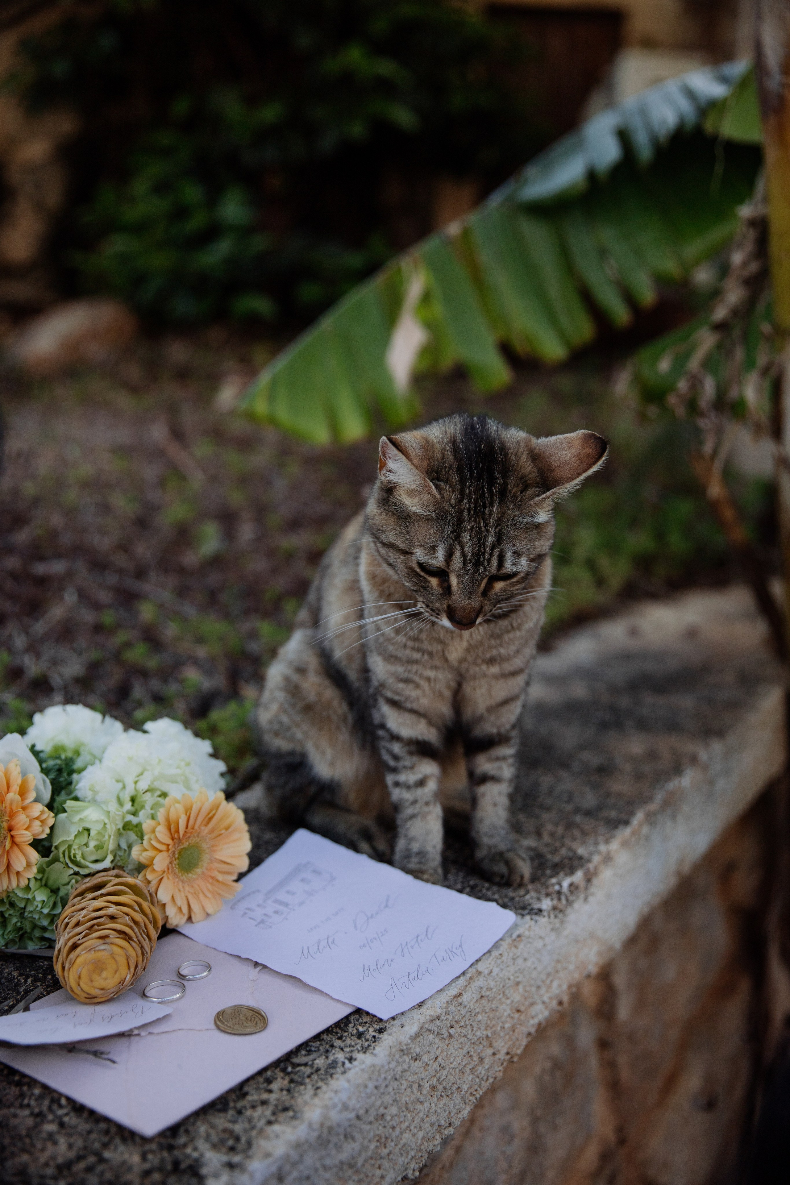 Свадебный фотограф