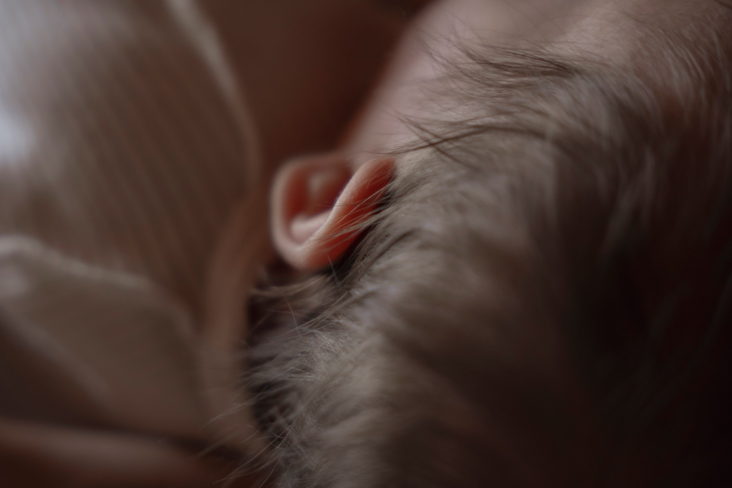 Молчановы. Многолетний проект о молодой семье. Фотограф в Москве Савкина Евгения