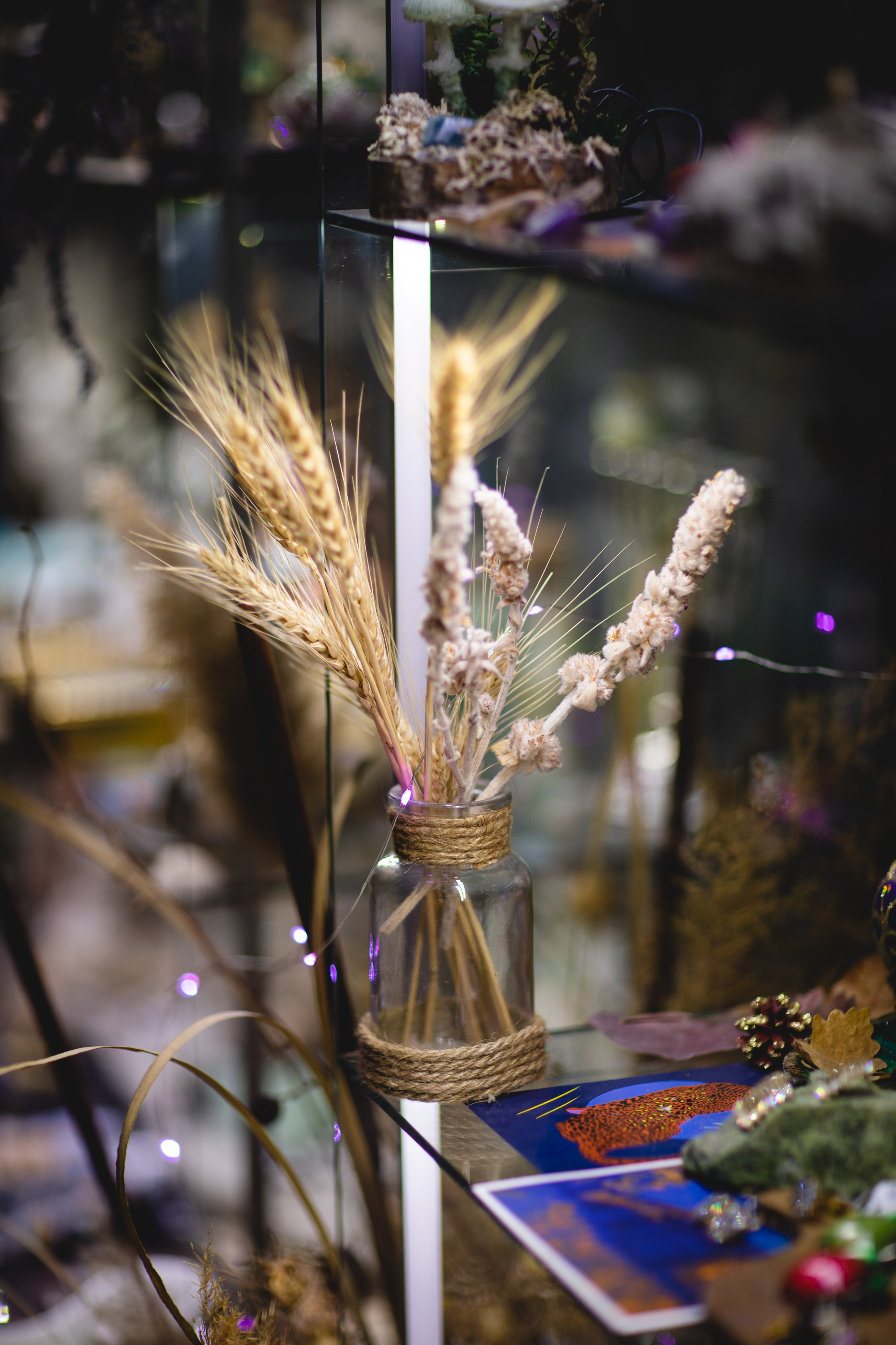 МАРТ-лавка красивых вещей). Семейный фотограф в Москве Анастасия Гурьянова