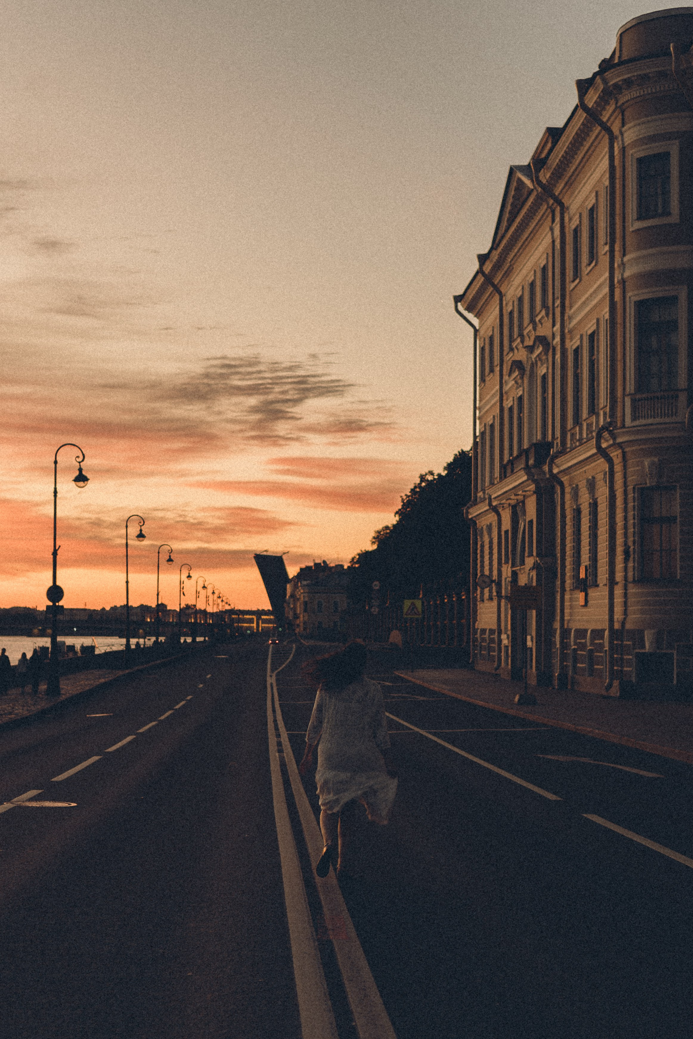 РАССВЕТ С РАЗВОДНЫМИ МОСТАМИ. Профессиональный фотограф, Санкт-Петербург — Виктория Богомолова
