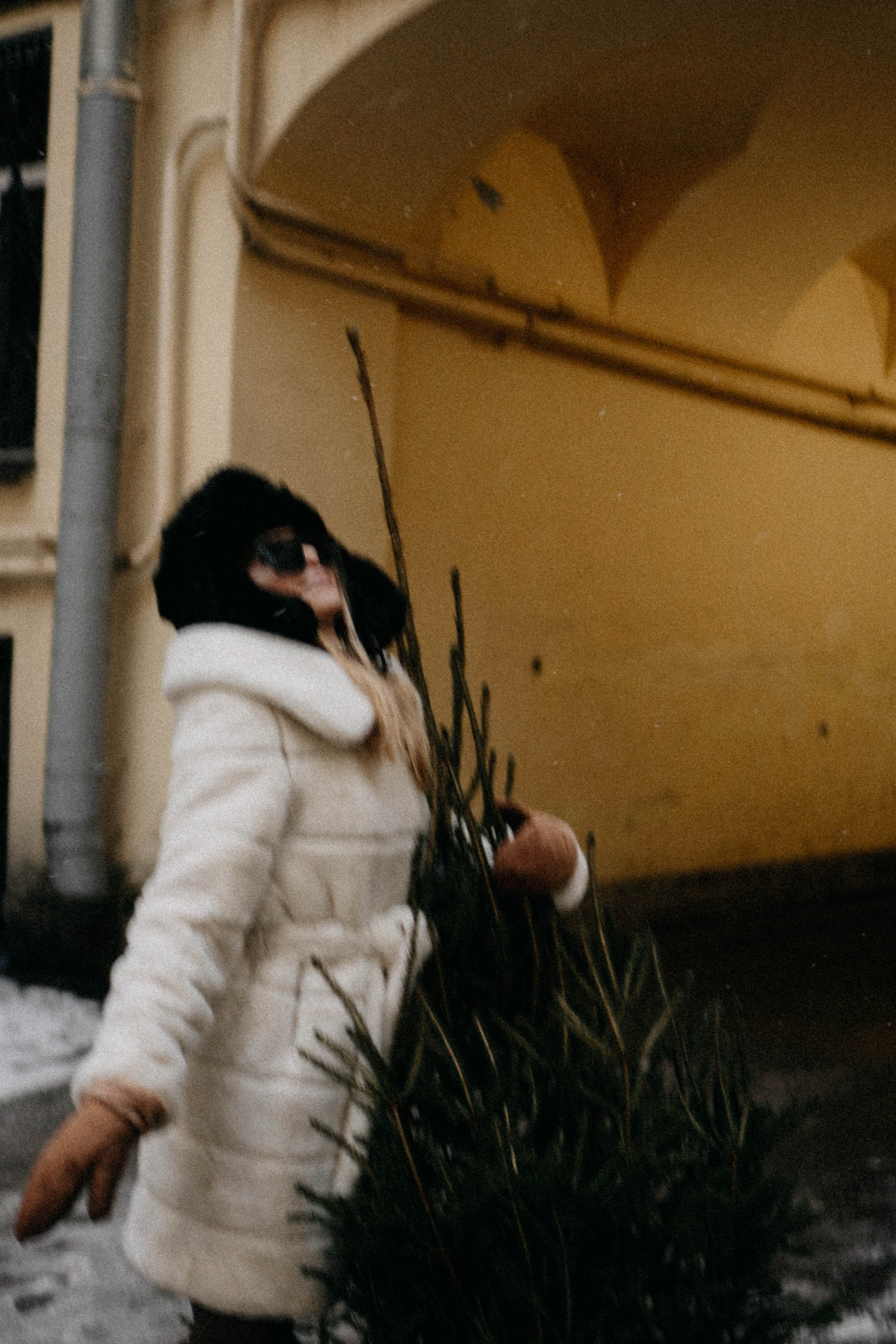 Новогодняя. Профессиональный фотограф, Санкт-Петербург — Виктория Богомолова