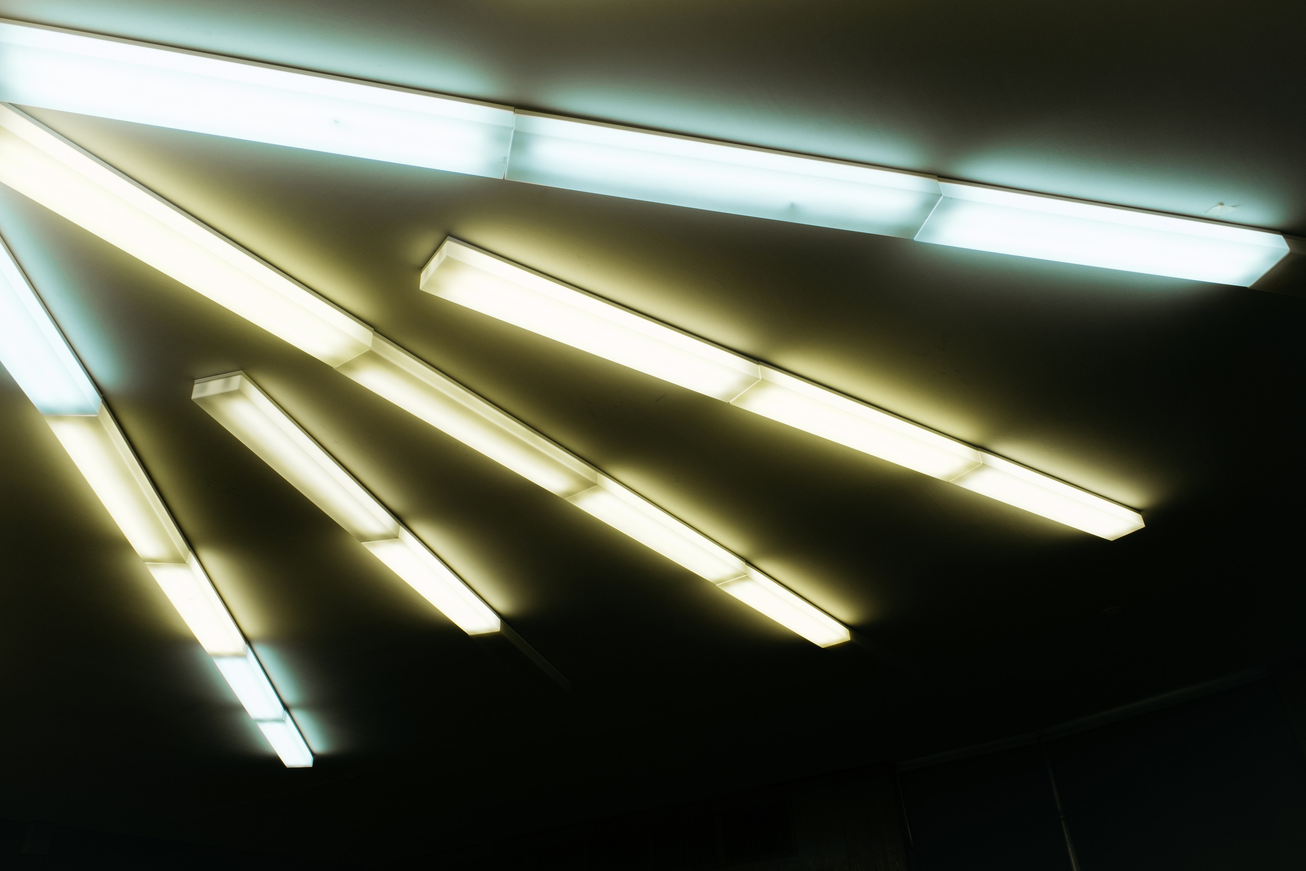 Фотограф и исследователь городской среды Ксения Русс