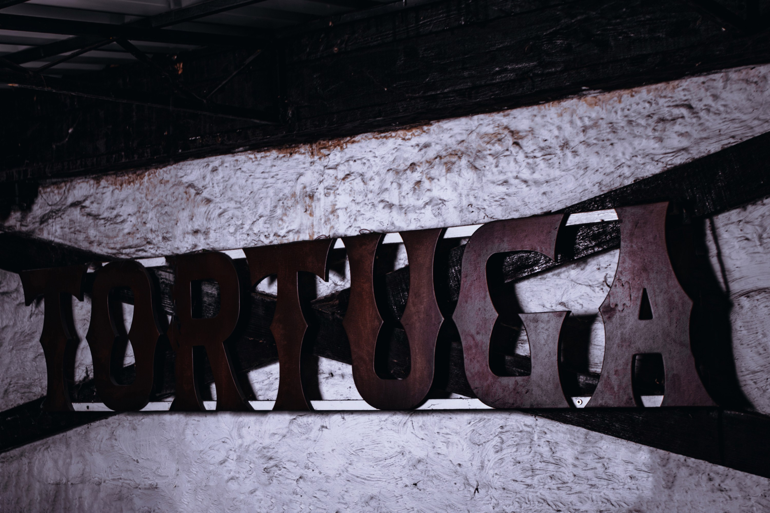 Tortuga_Lambriq_part.2_Симферополь_23.11.2024. Аминов Руслан | Фотограф