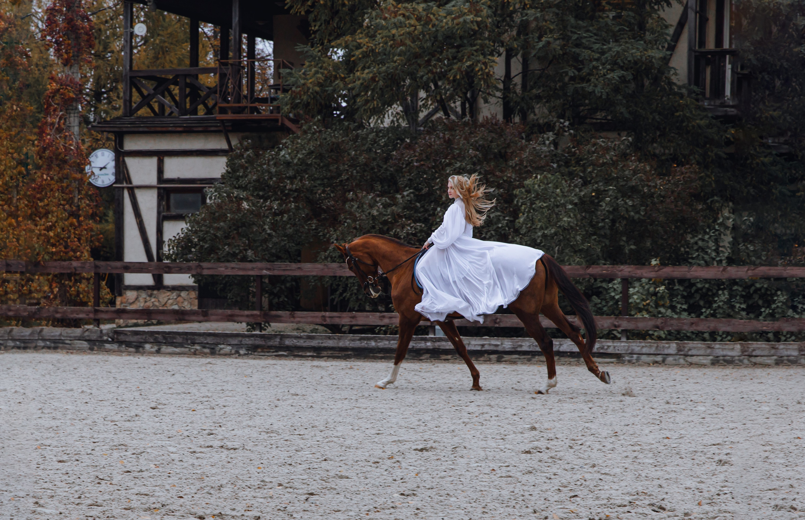 Диана конный клуб «Белая дача». Портретный и семейный фотограф в Москве Ирина Голубчина