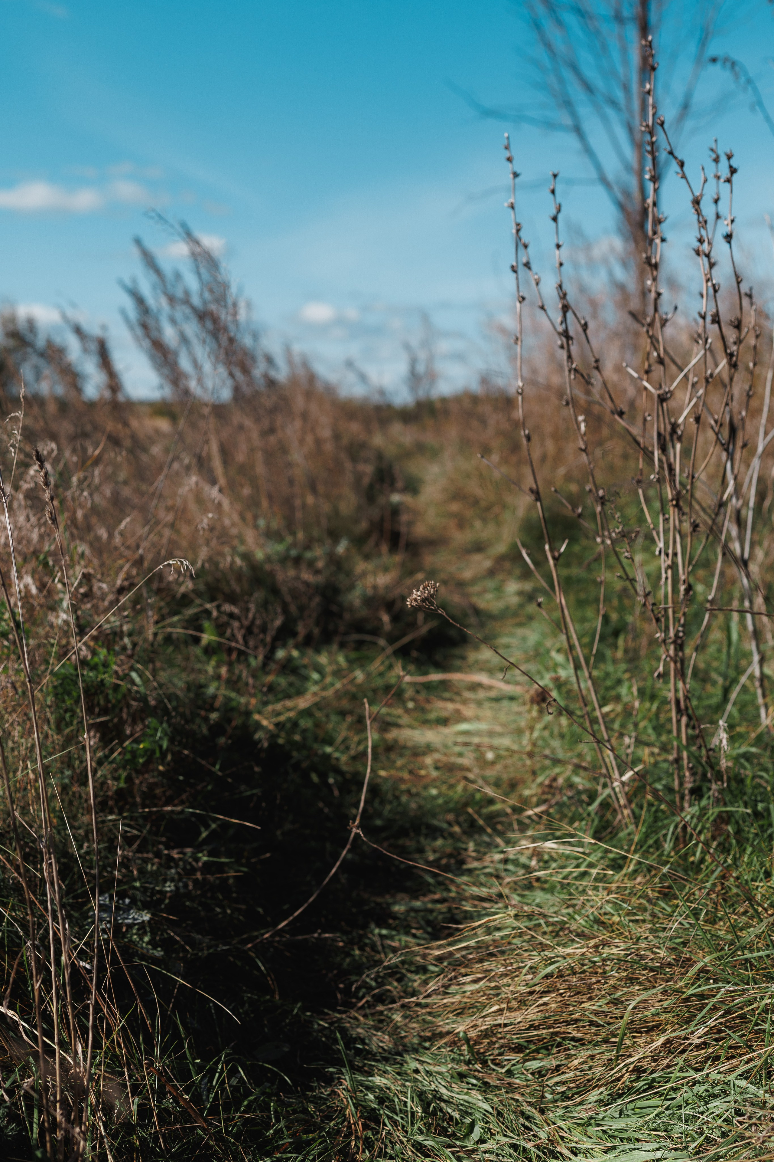 Съемка перформанса. Ксю Галиасфарова — Фотограф Казань