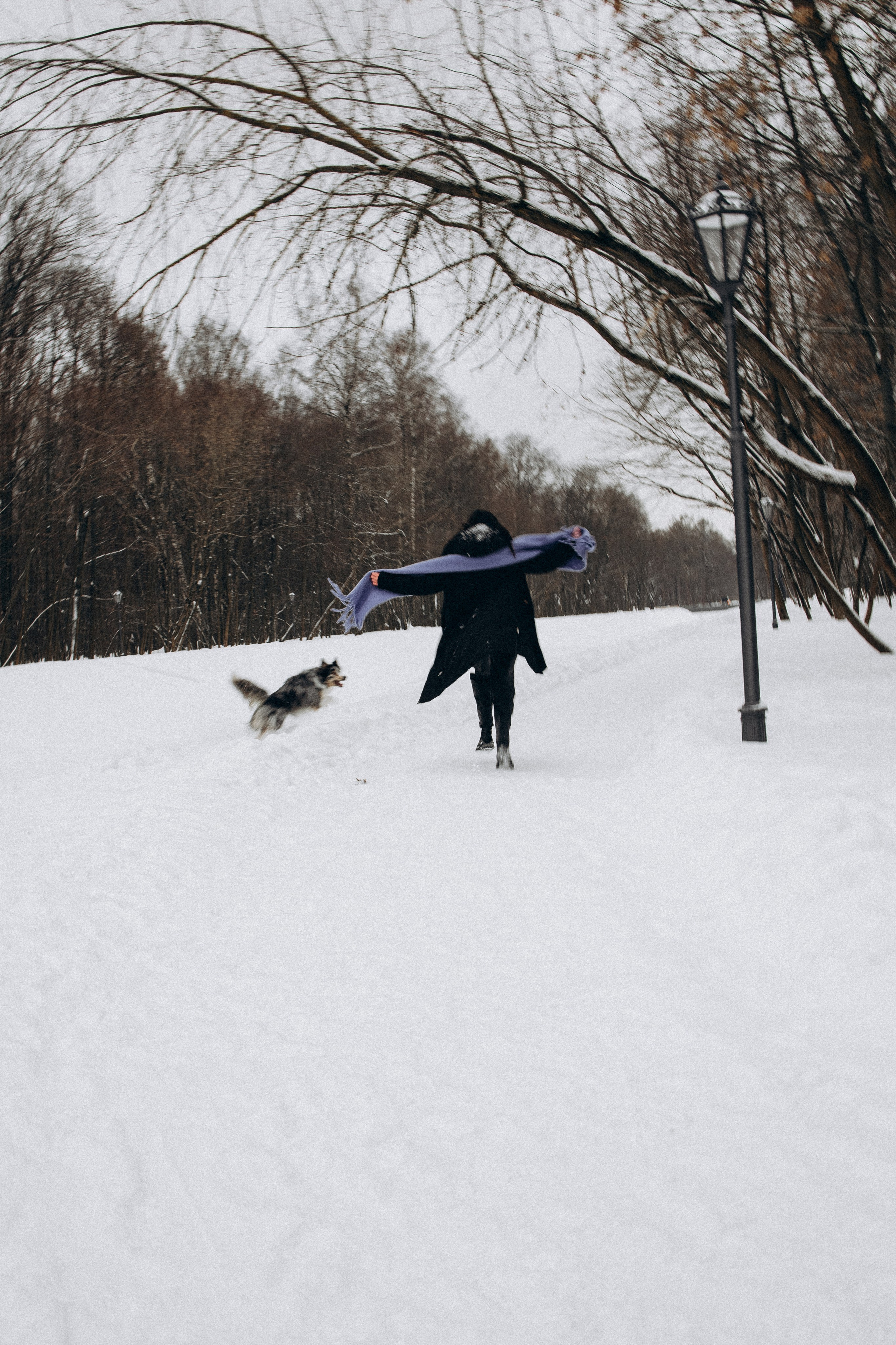 Настя и Тор. Фотораф — анималист Мария Шистка